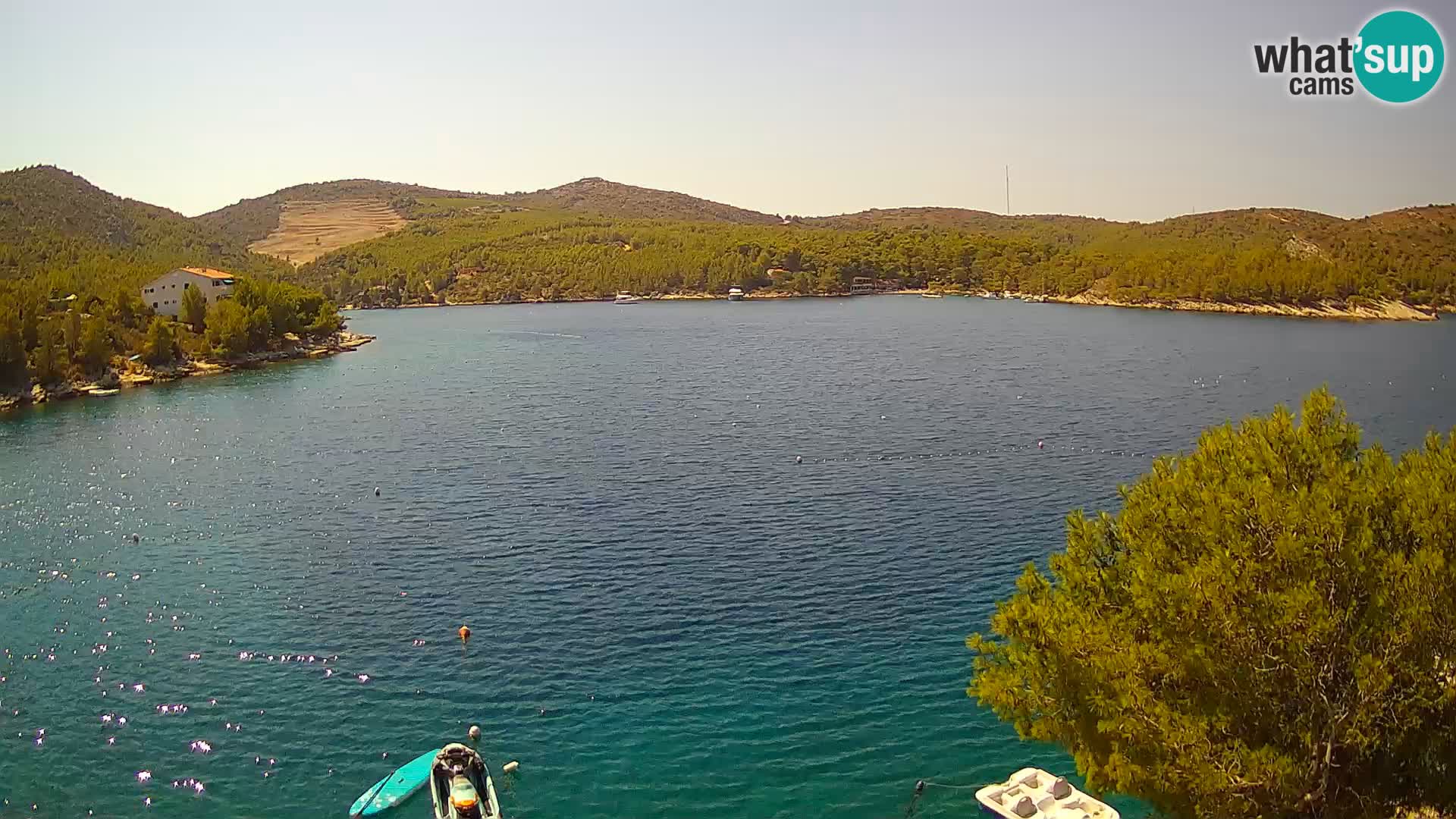 Camera Hvar Vira playa | Isla de Hvar | Dalmacia