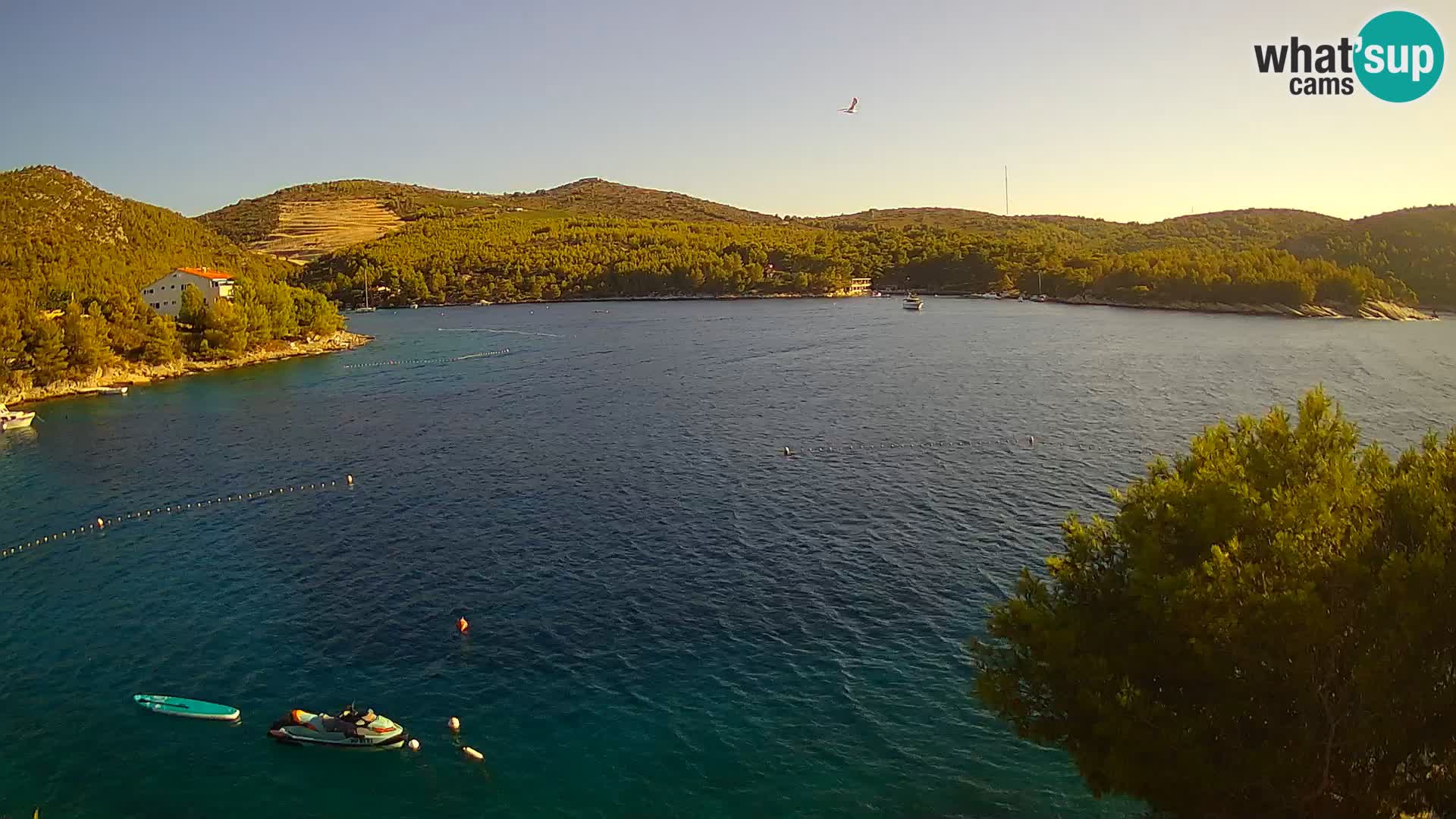 Webcam Hvar Vira beach | Hvar island | Dalmatia