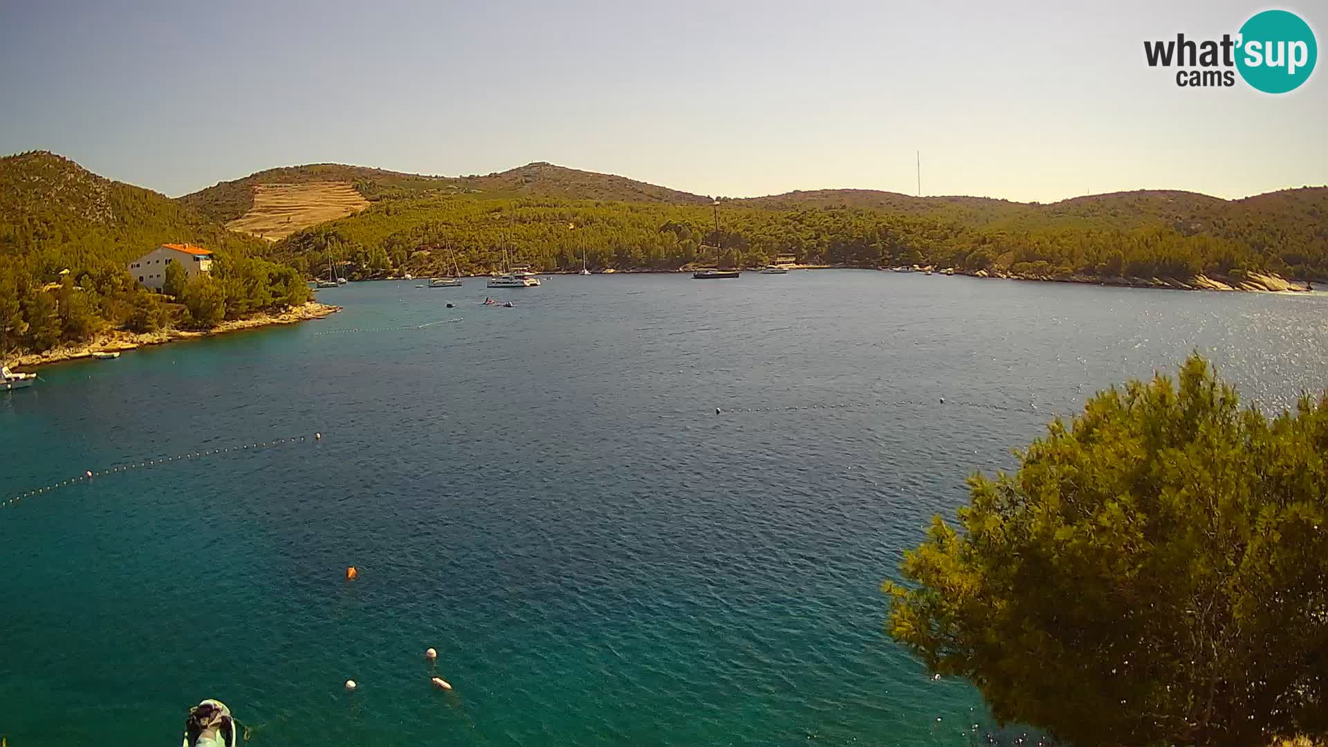 Hvar webcam Vira Strand | Hvar Insel | Dalmatien