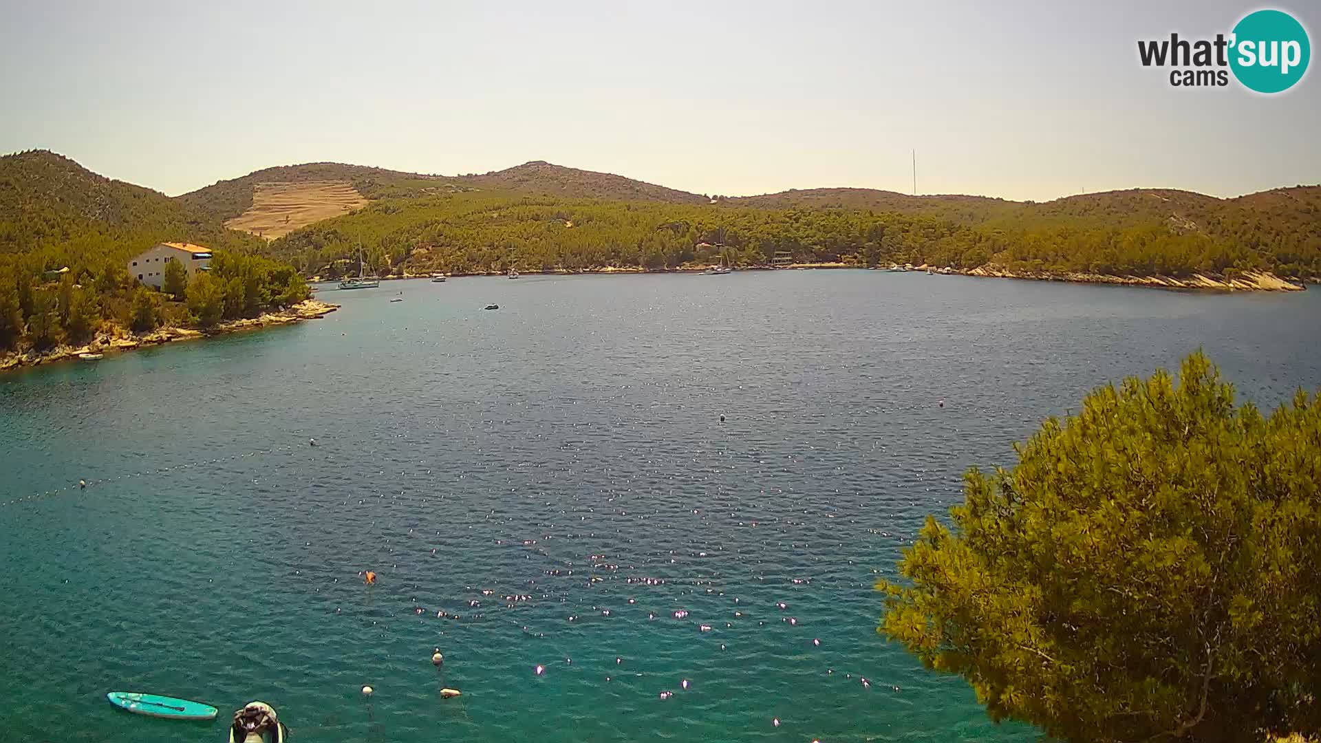 Camera Hvar Vira playa | Isla de Hvar | Dalmacia