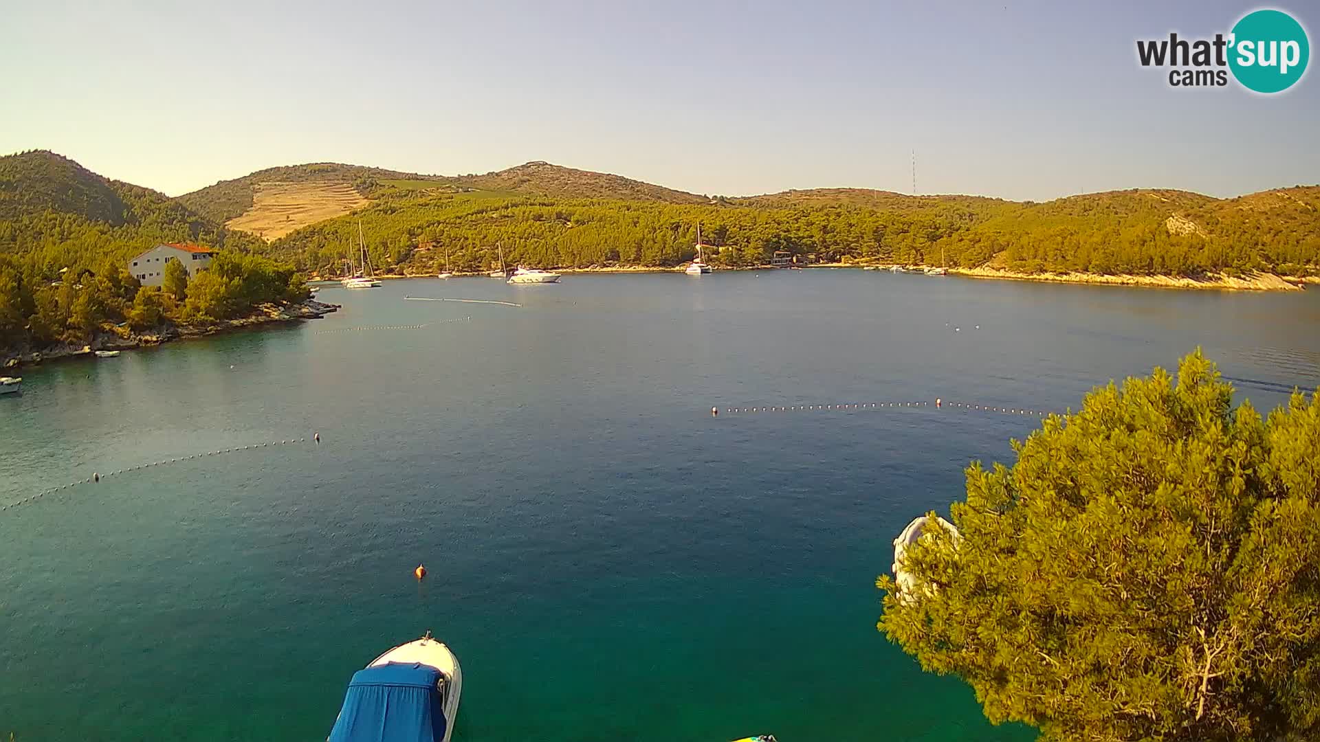 Live cam Hvar Vira plage | Île de Hvar | Dalmatie