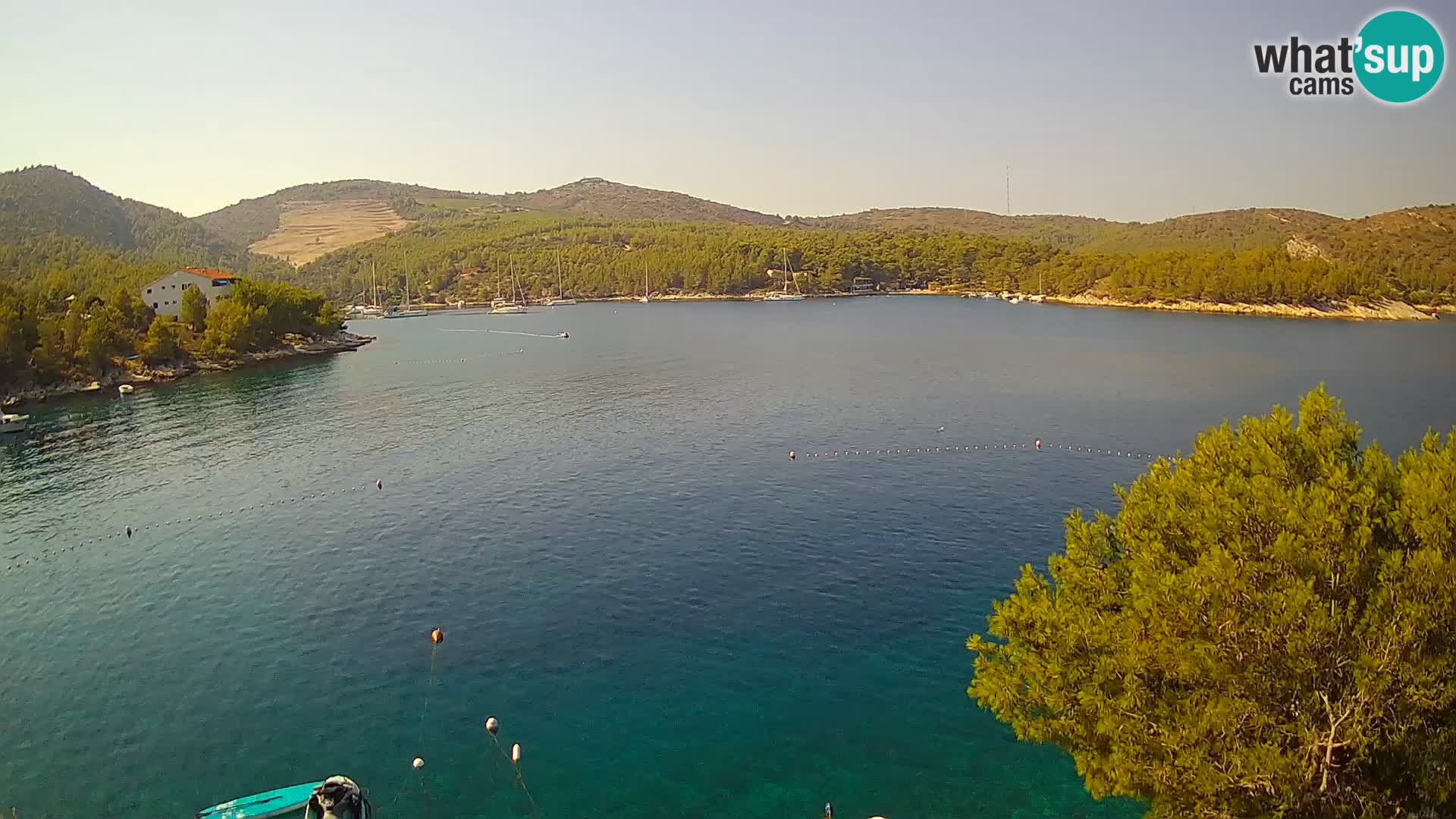 Camera Hvar Vira playa | Isla de Hvar | Dalmacia