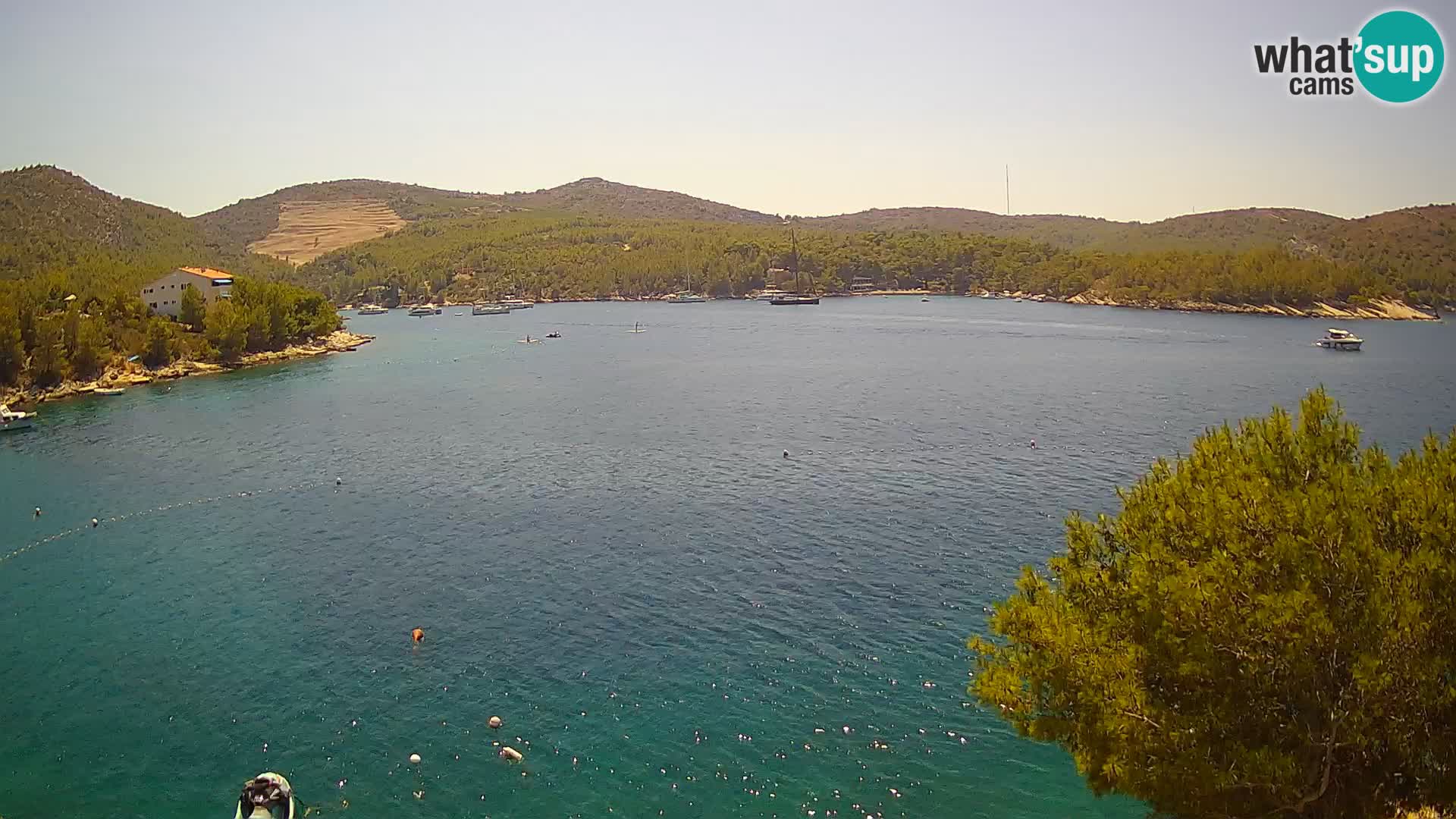 Hvar webcam Vira Strand | Hvar Insel | Dalmatien