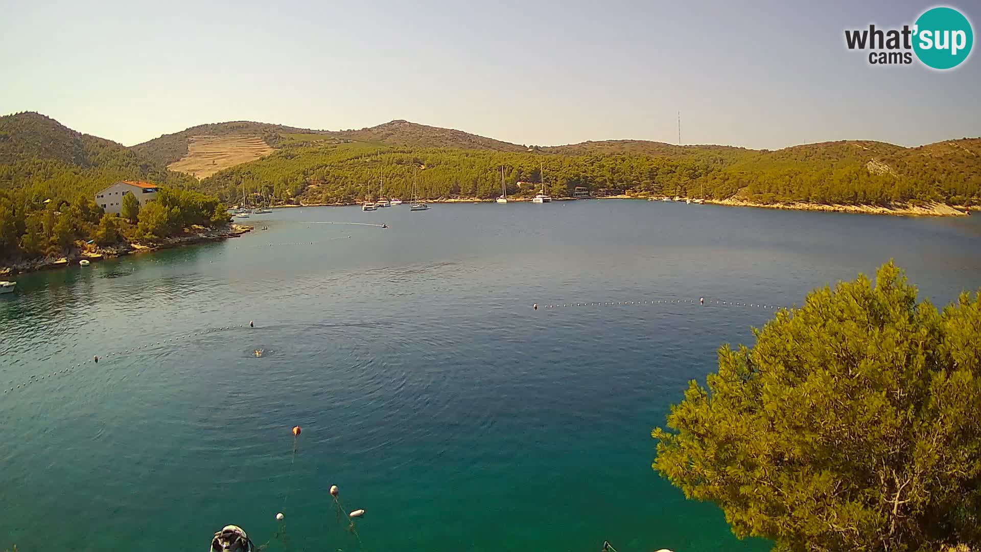 Webcam Hvar Vira beach | Hvar island | Dalmatia