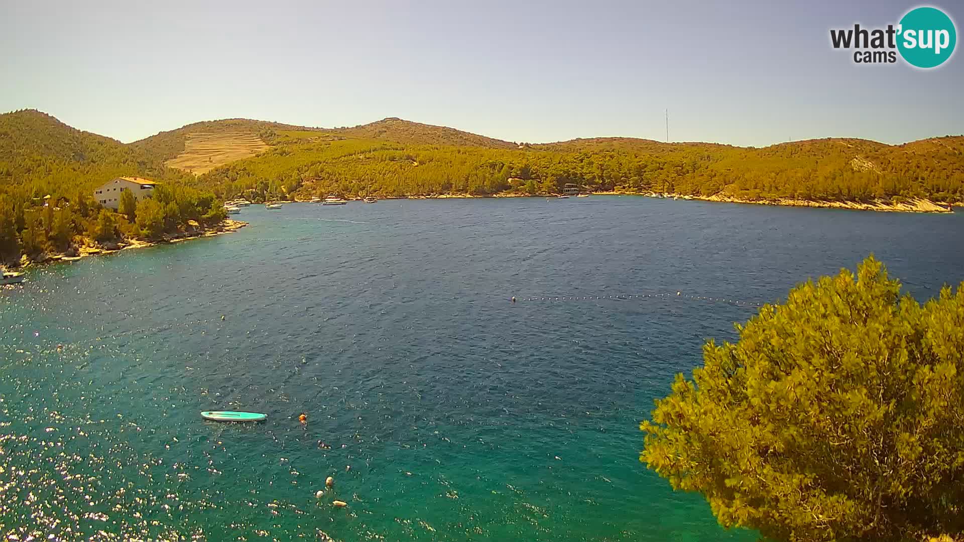 Camera Hvar Vira playa | Isla de Hvar | Dalmacia
