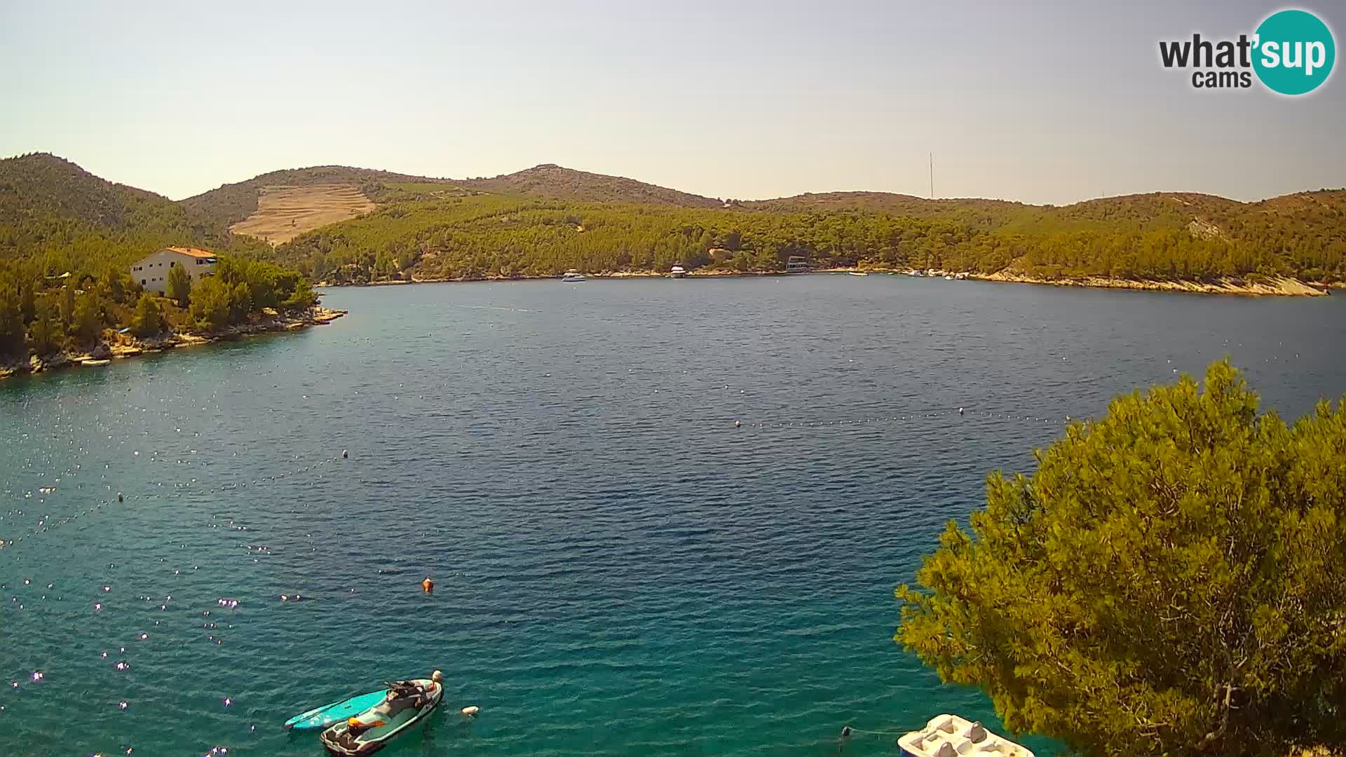 Camera Hvar Vira playa | Isla de Hvar | Dalmacia
