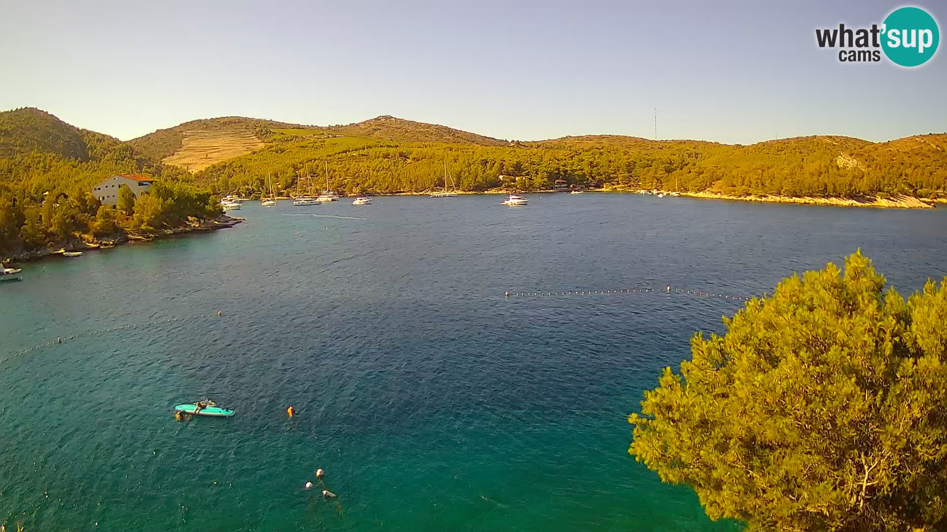 Camera Hvar Vira playa | Isla de Hvar | Dalmacia