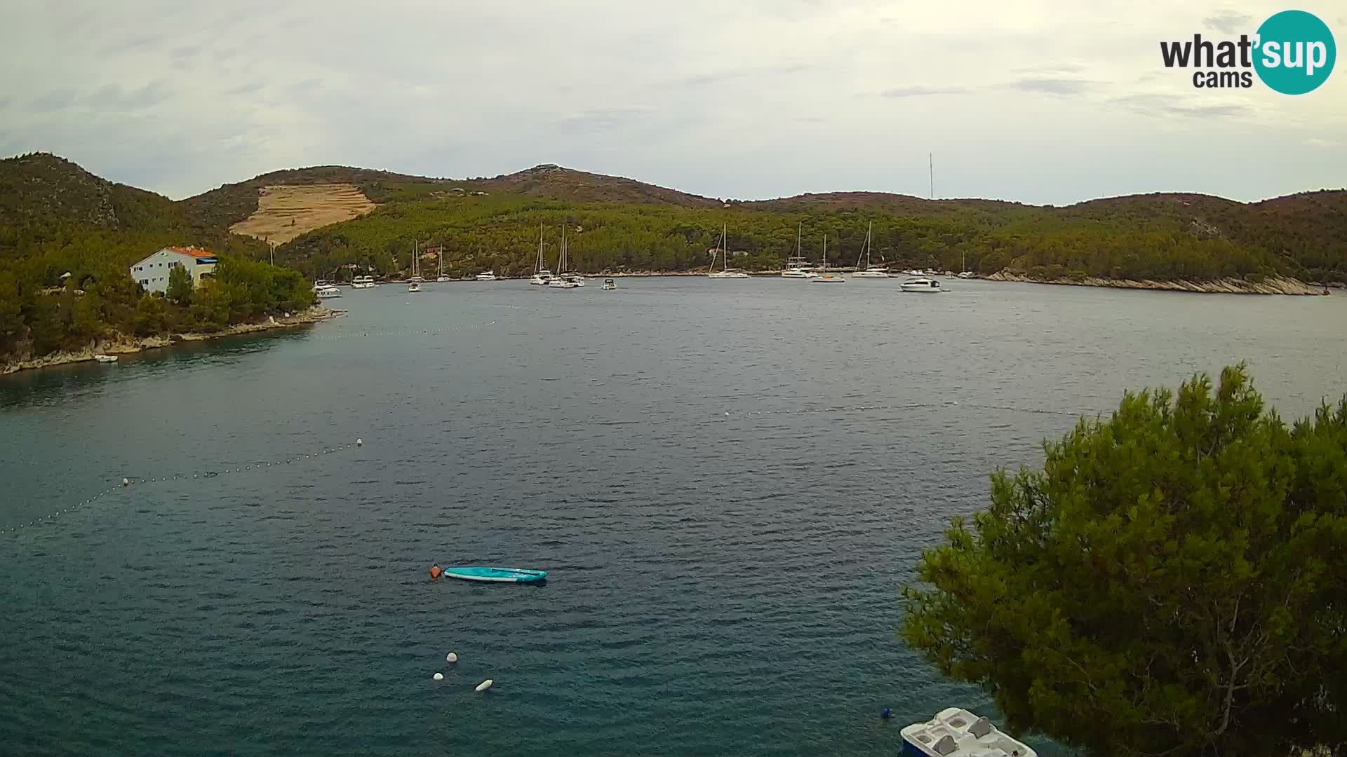 Live cam Hvar Vira plage | Île de Hvar | Dalmatie