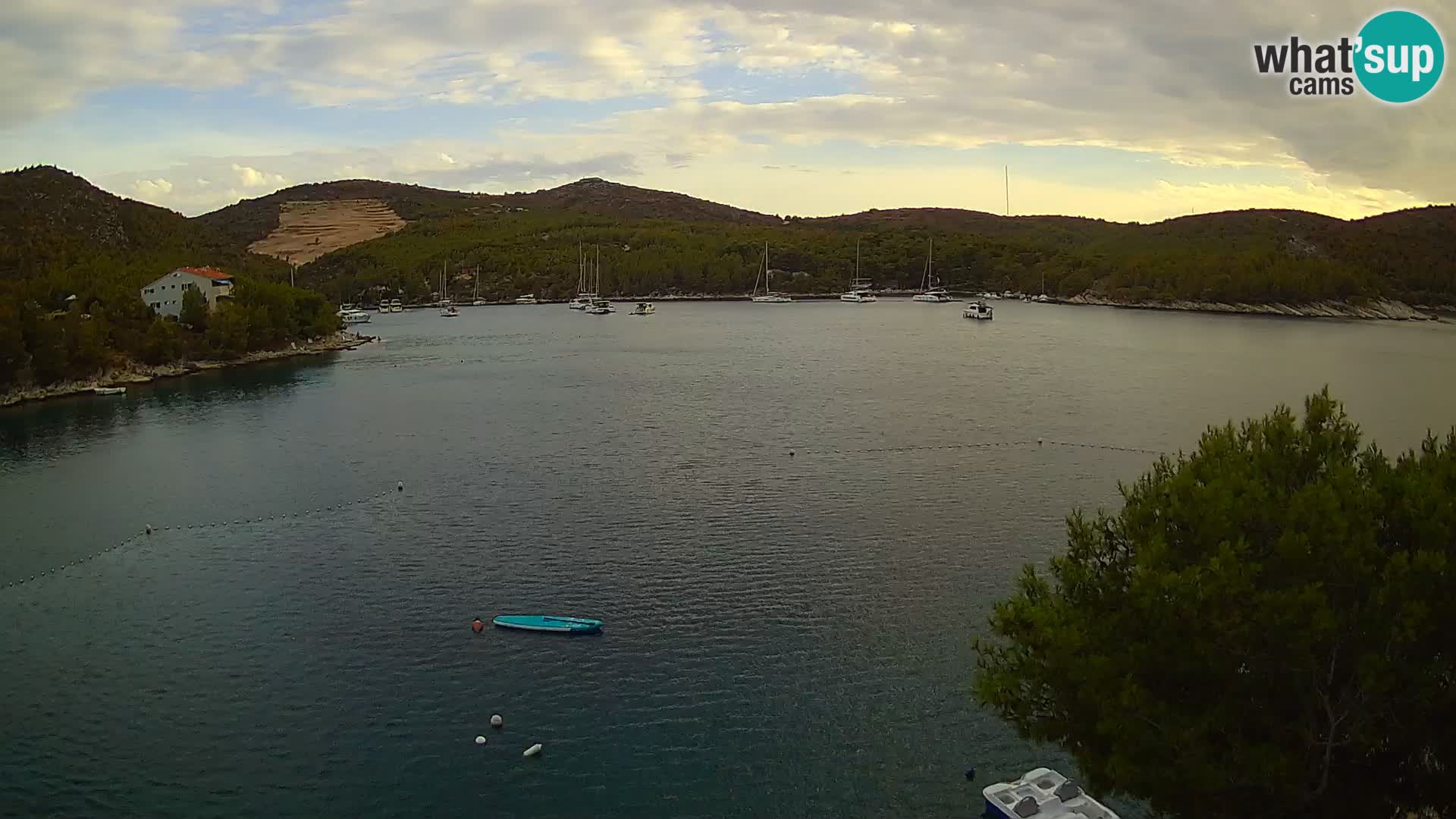 Camera Hvar Vira playa | Isla de Hvar | Dalmacia