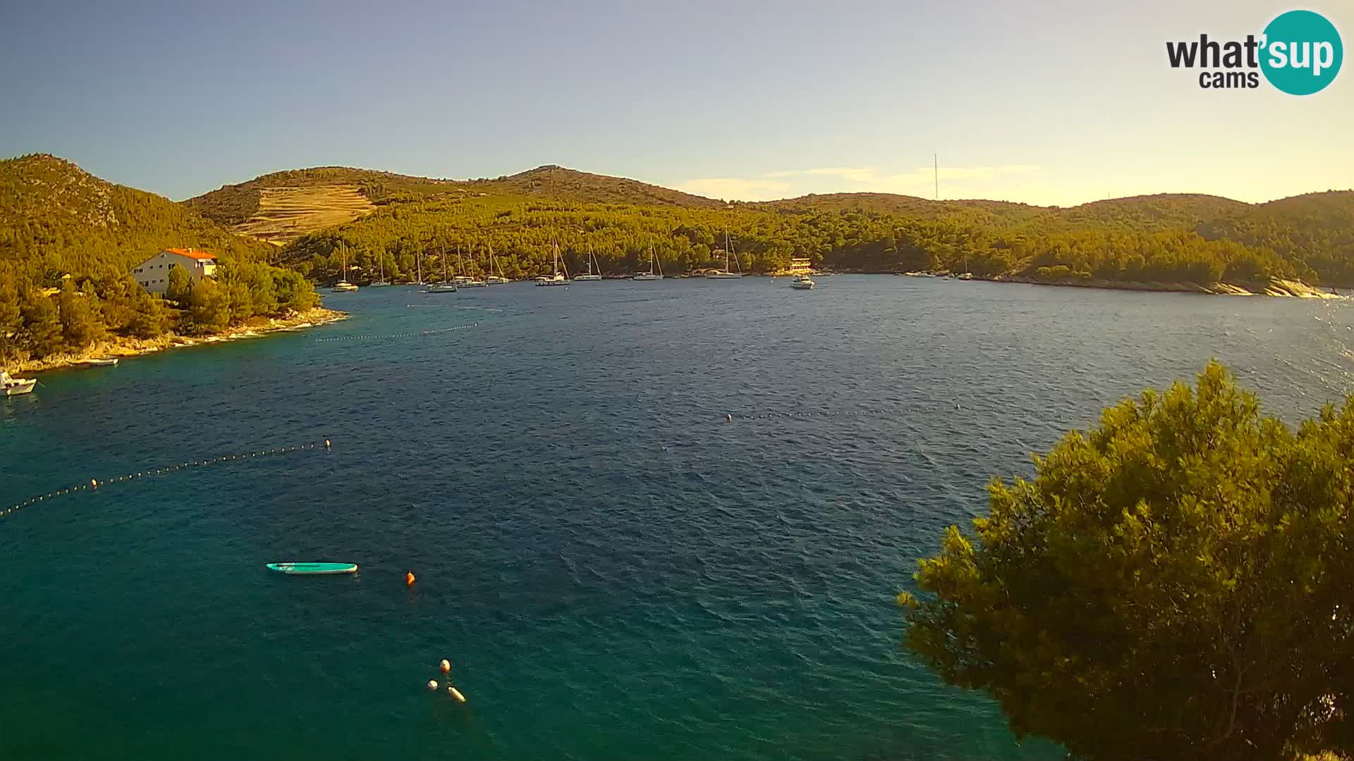 Camera Hvar Vira playa | Isla de Hvar | Dalmacia