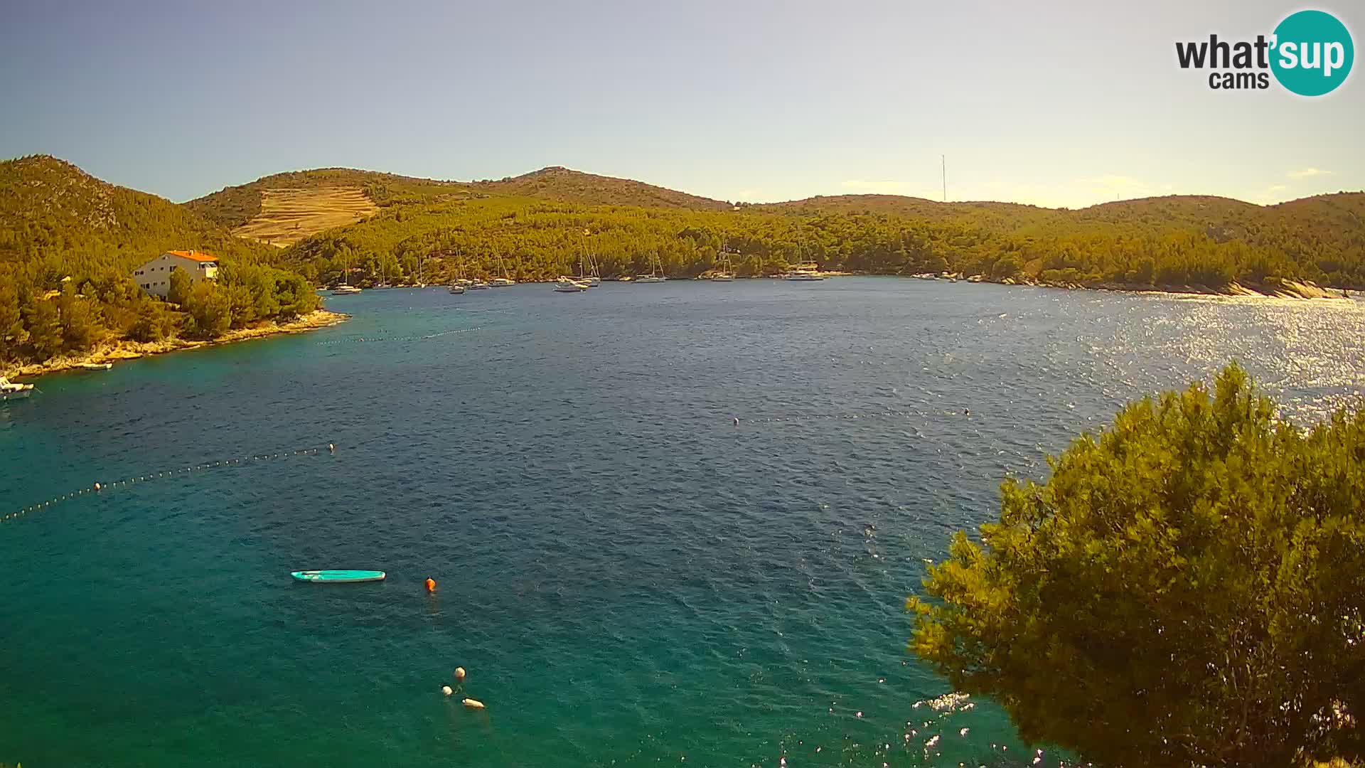 Camera Hvar Vira playa | Isla de Hvar | Dalmacia