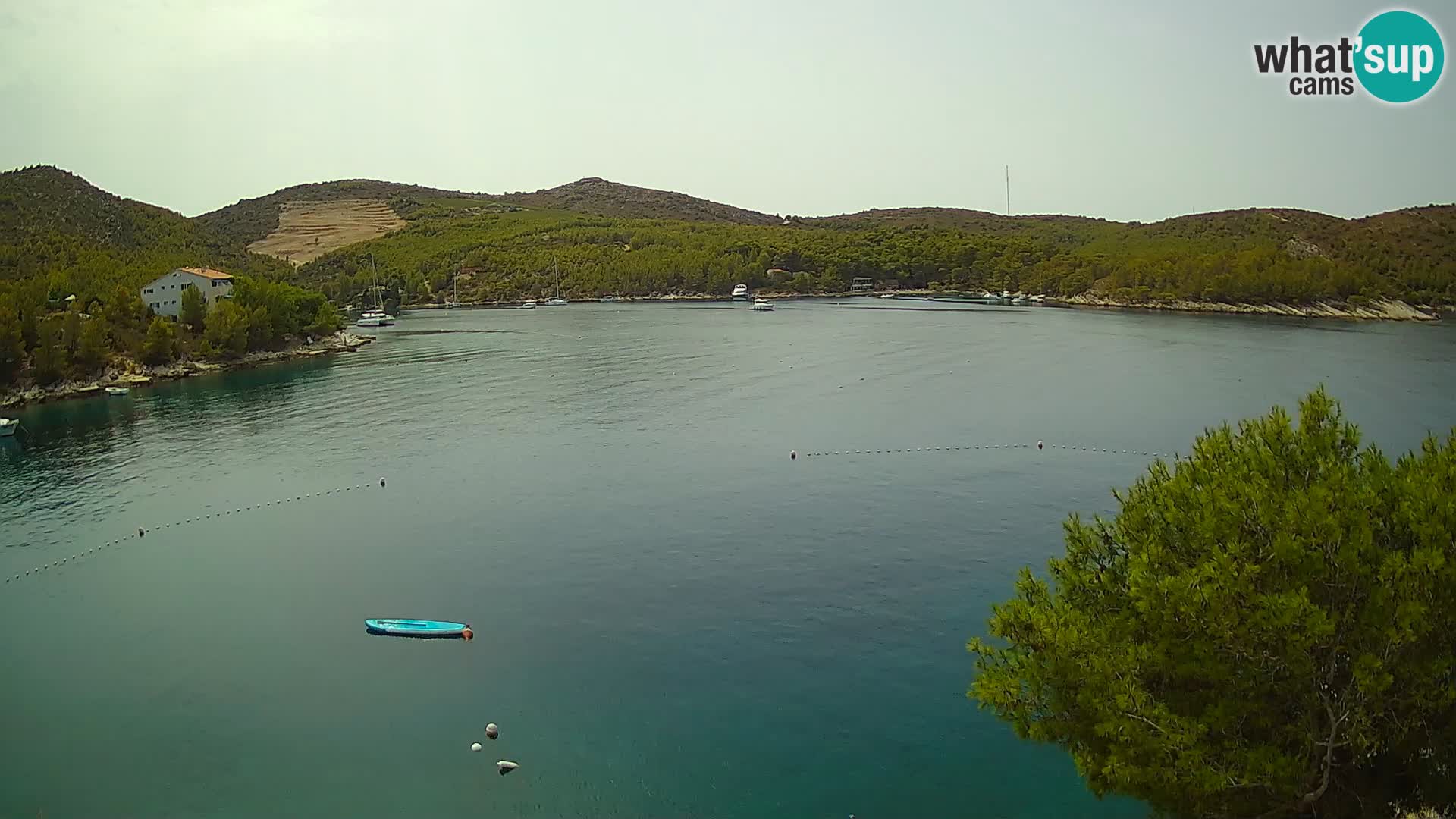 Hvar webcam Vira Strand | Hvar Insel | Dalmatien