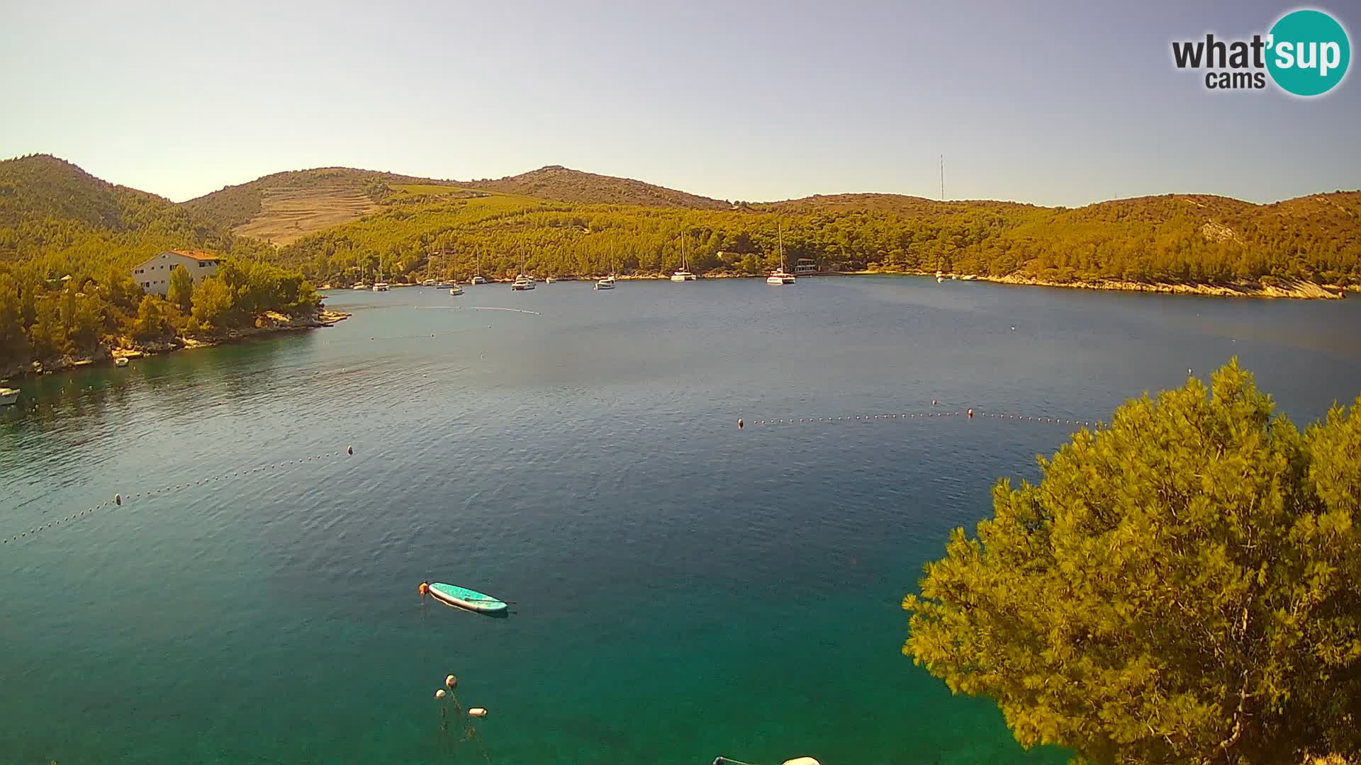 Camera Hvar Vira playa | Isla de Hvar | Dalmacia