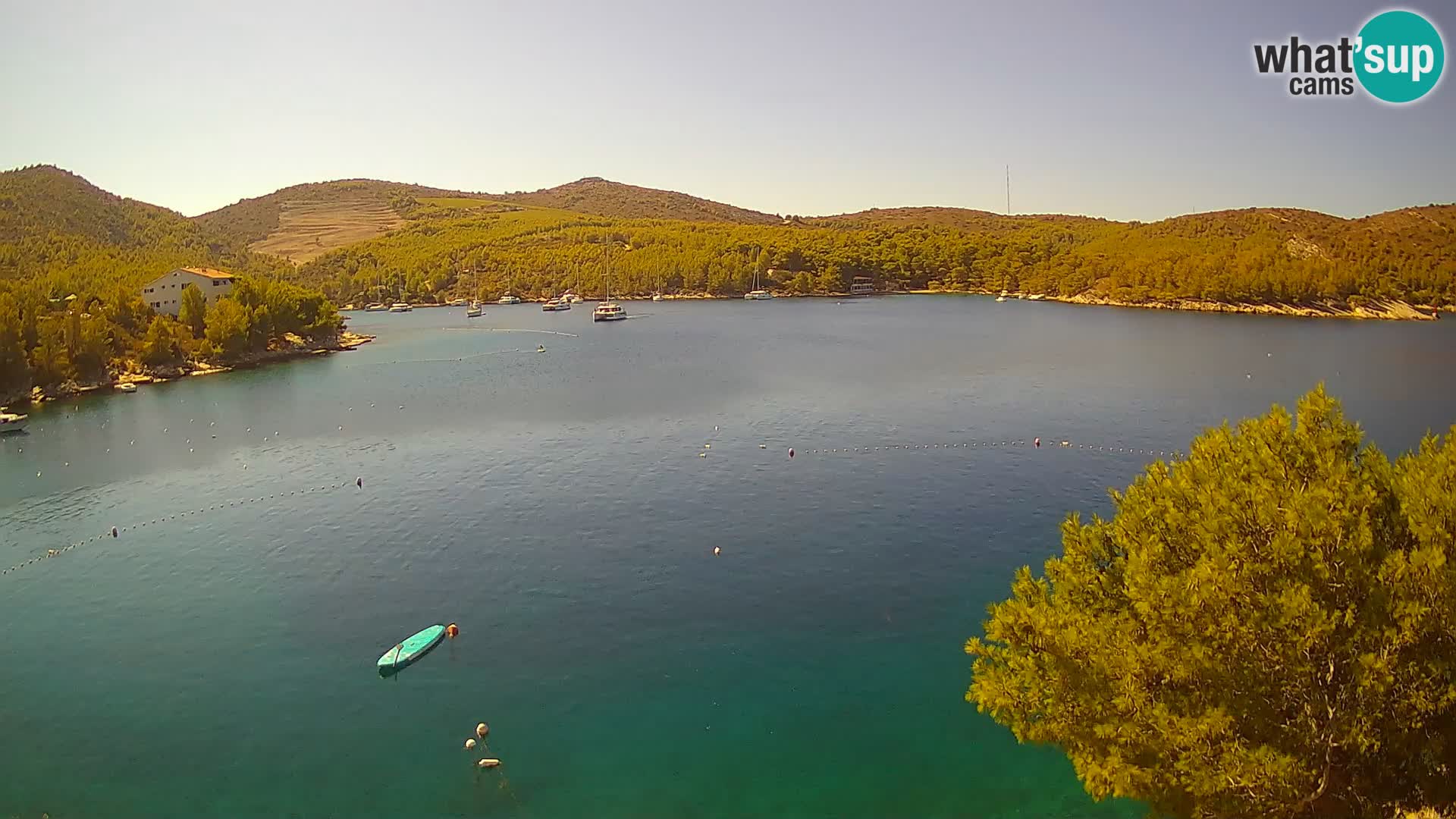Camera Hvar Vira playa | Isla de Hvar | Dalmacia