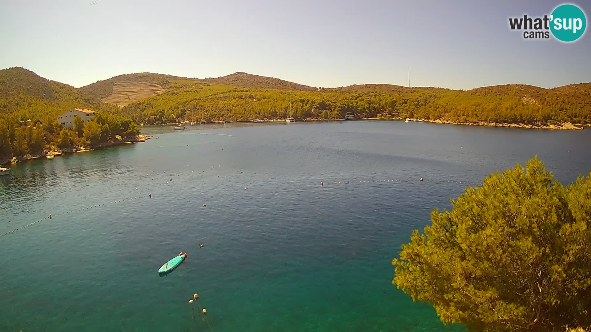 Camera Hvar Vira playa | Isla de Hvar | Dalmacia