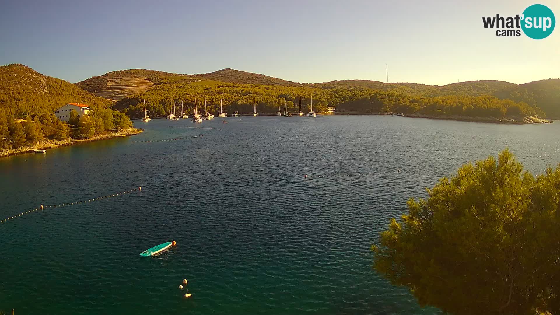 Camera Hvar Vira playa | Isla de Hvar | Dalmacia