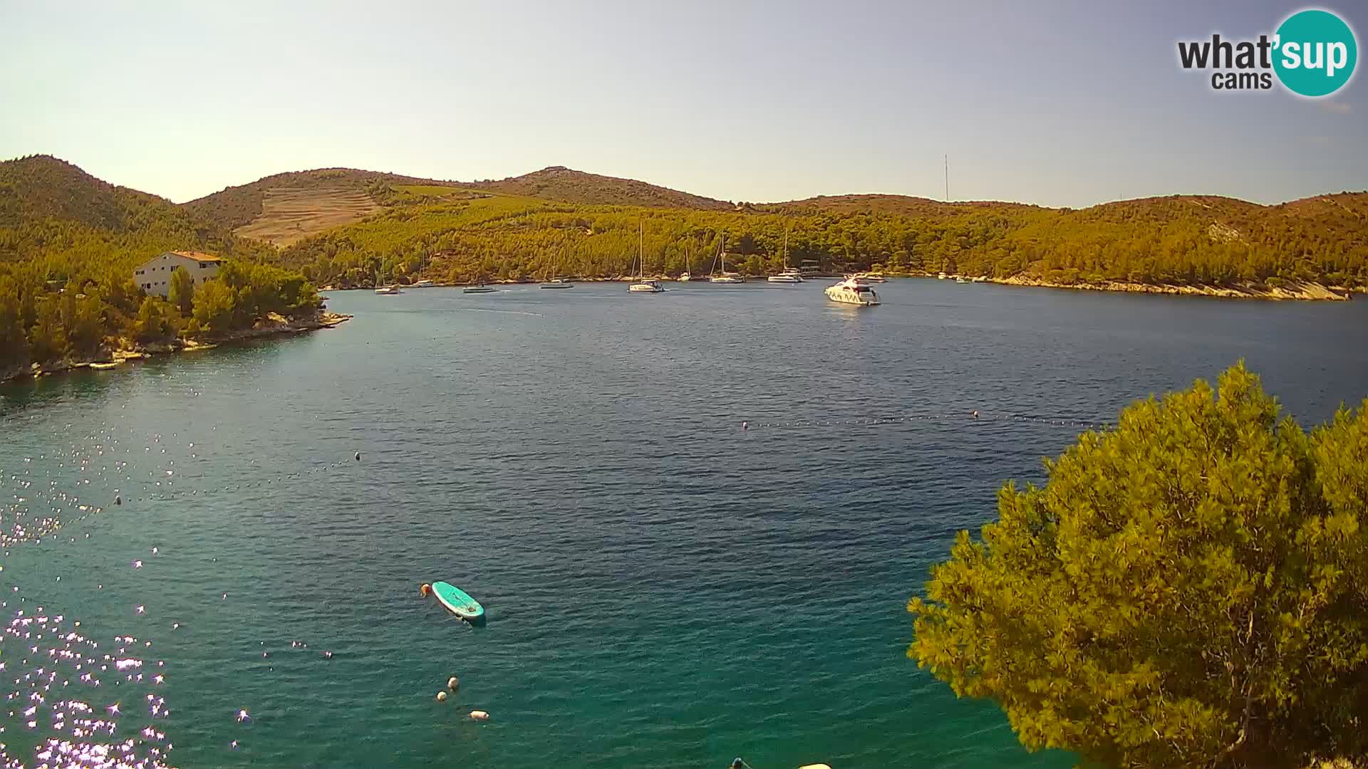 Camera Hvar Vira playa | Isla de Hvar | Dalmacia