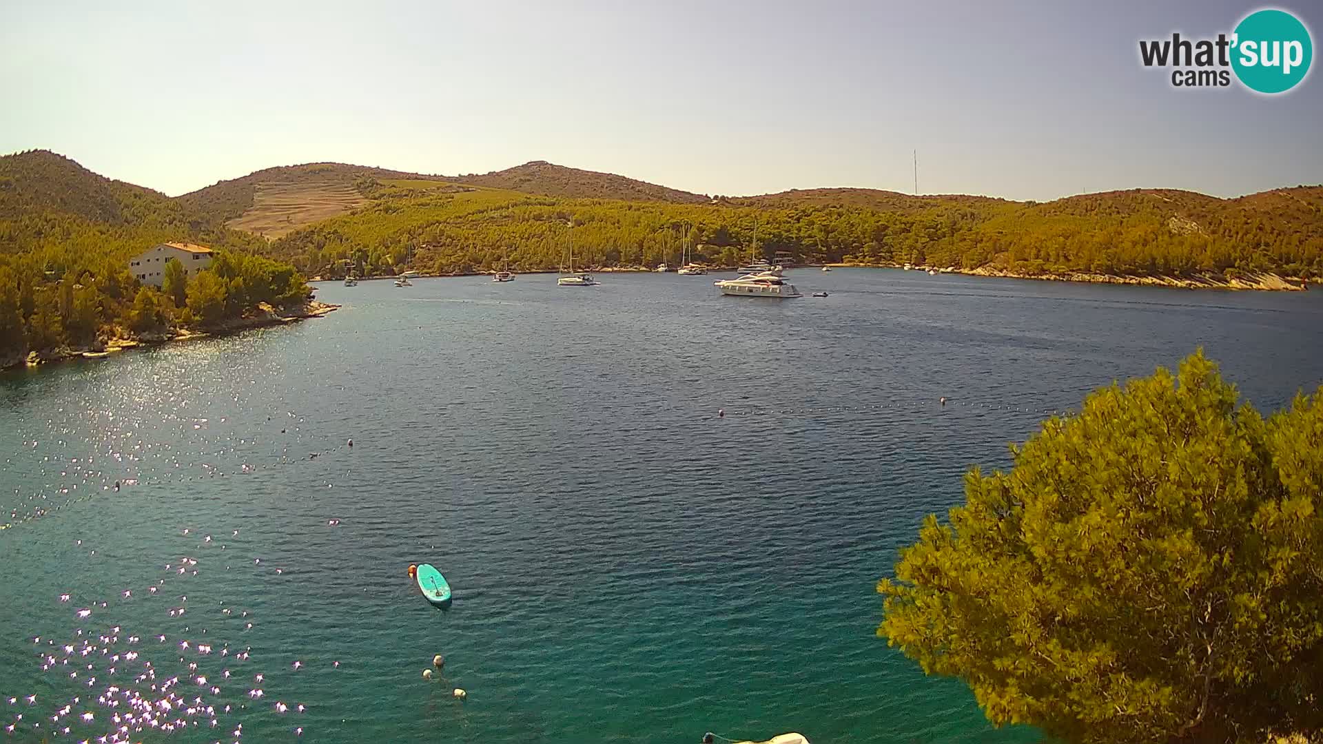 Hvar webcam Vira Strand | Hvar Insel | Dalmatien