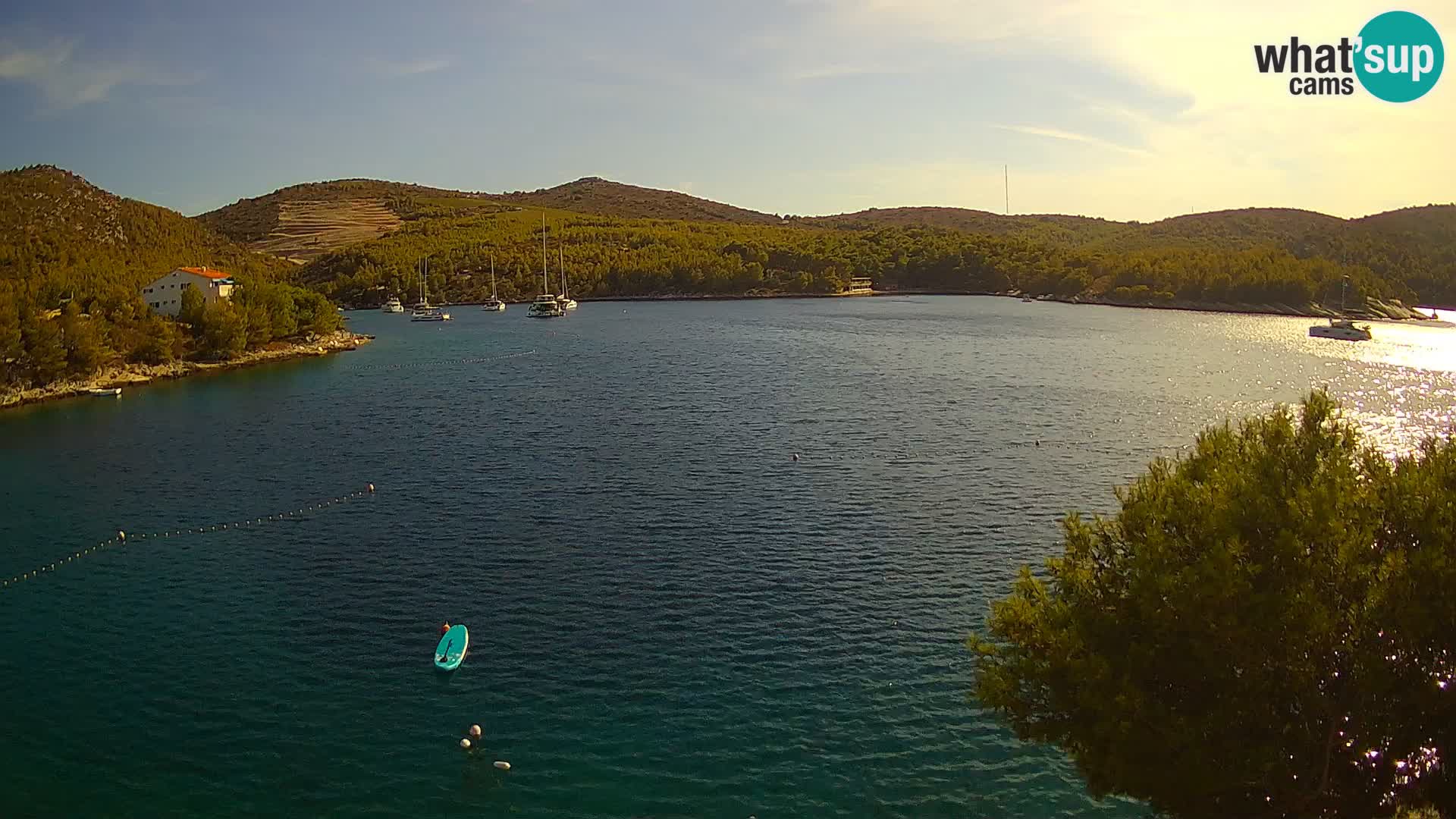 Camera Hvar Vira playa | Isla de Hvar | Dalmacia