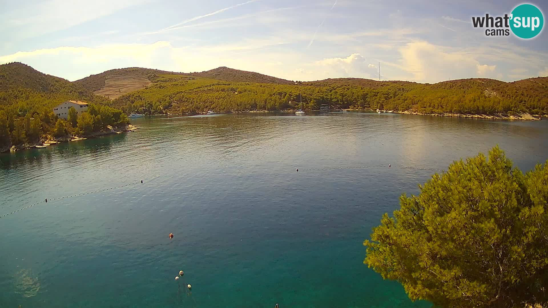 Camera Hvar Vira playa | Isla de Hvar | Dalmacia