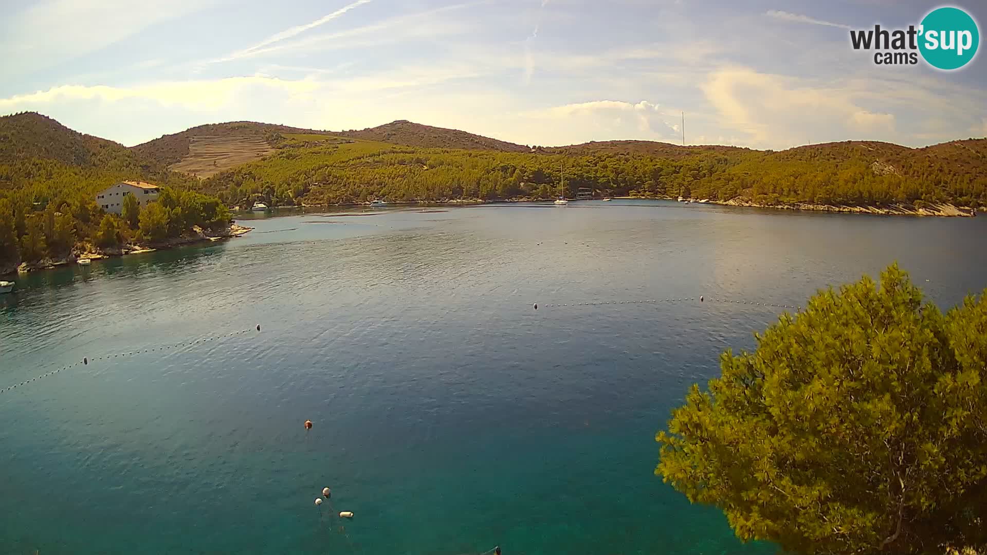 Web kamera Hvar Vira plaža | otok Hvar | Dalmacija