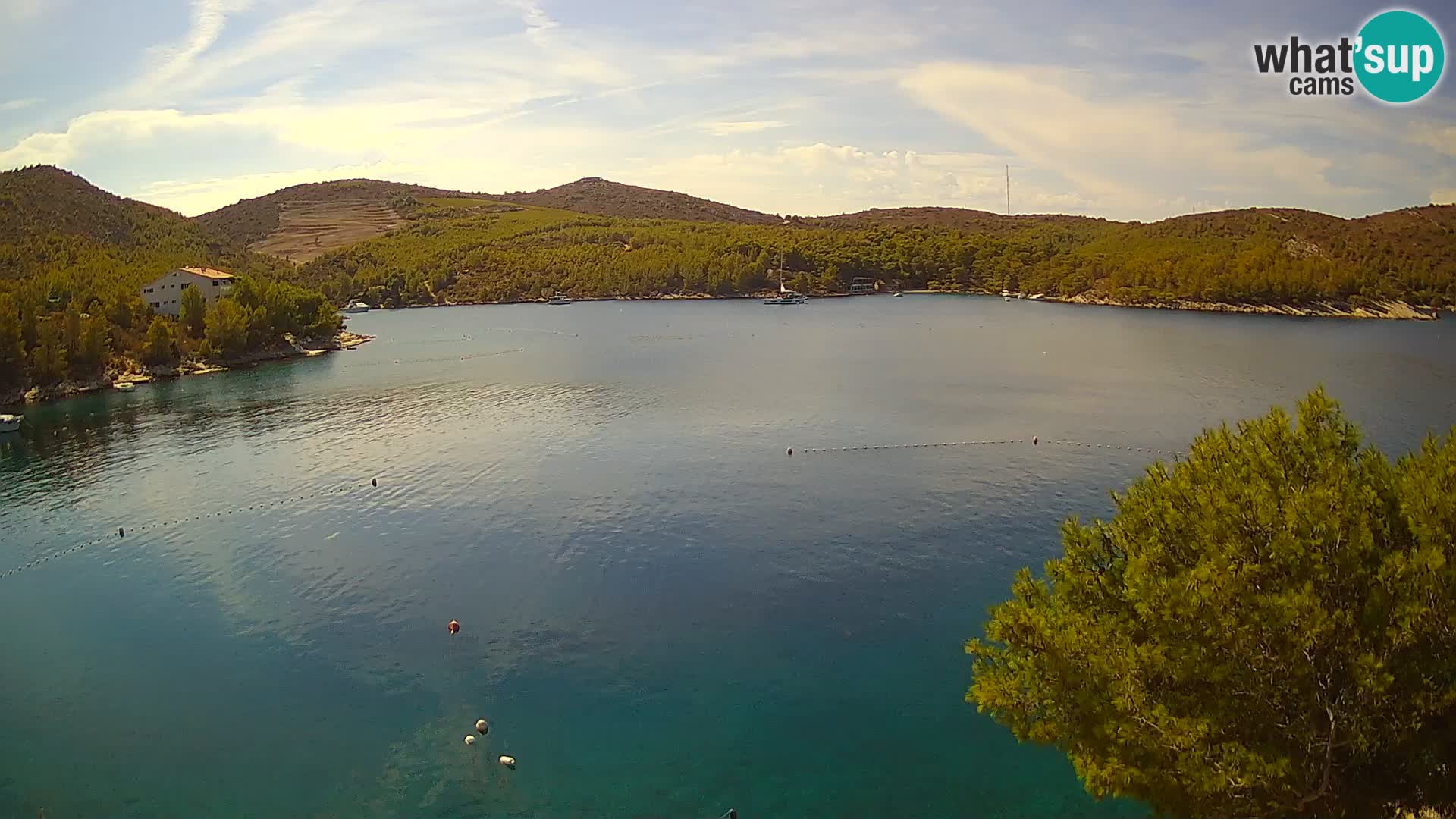 Camera Hvar Vira playa | Isla de Hvar | Dalmacia