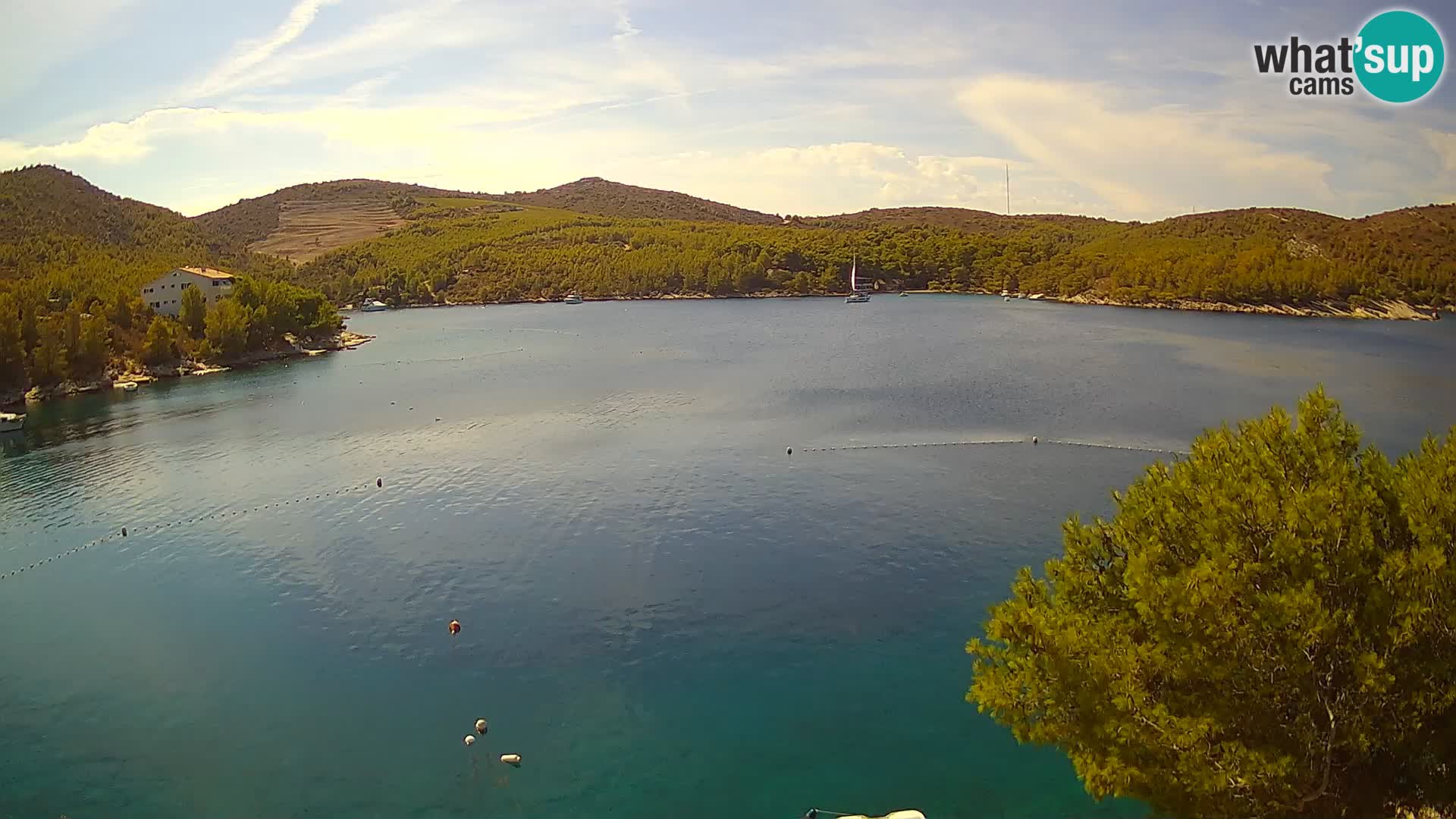 Camera Hvar Vira playa | Isla de Hvar | Dalmacia