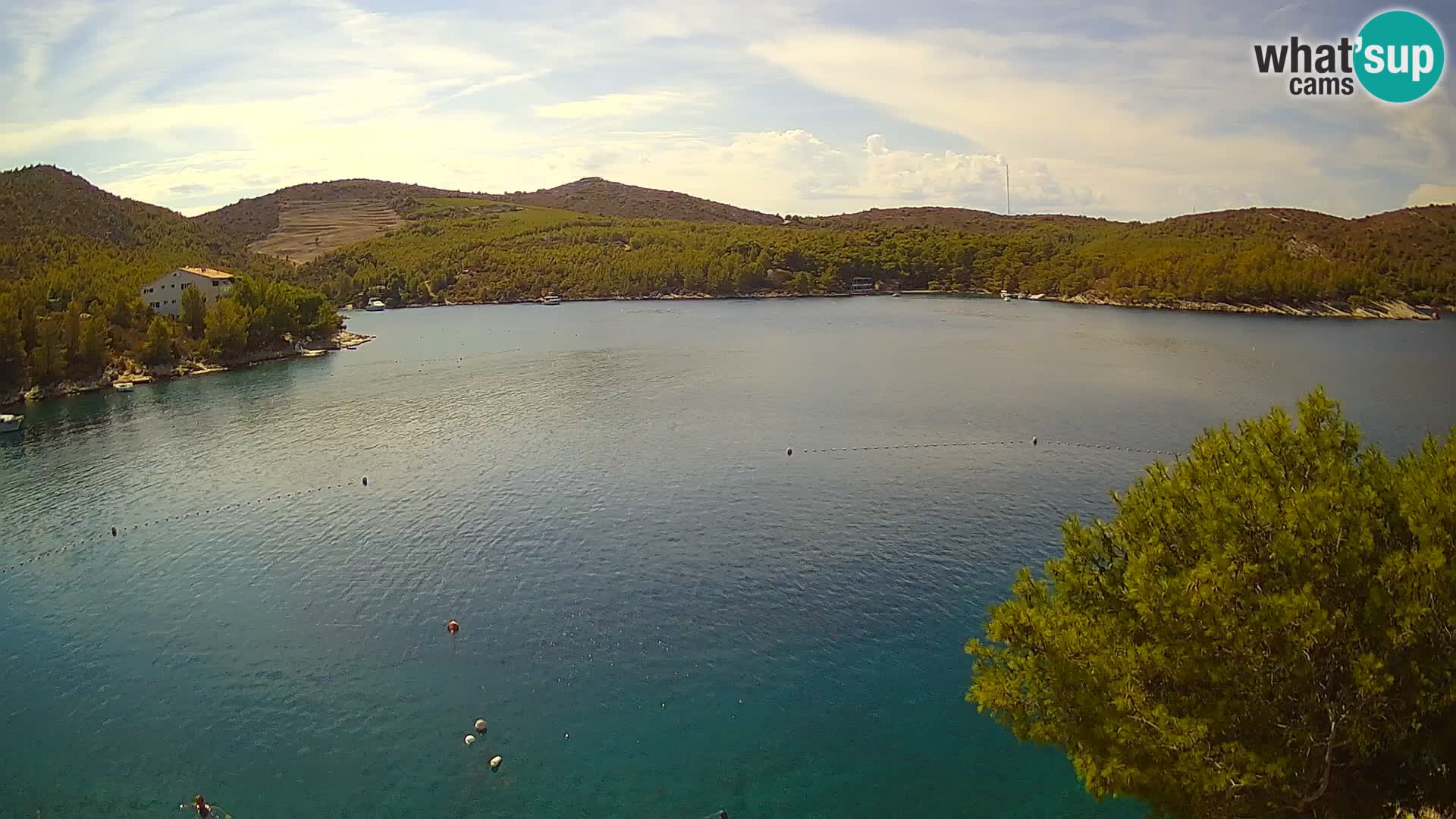 Live cam Hvar Vira plage | Île de Hvar | Dalmatie
