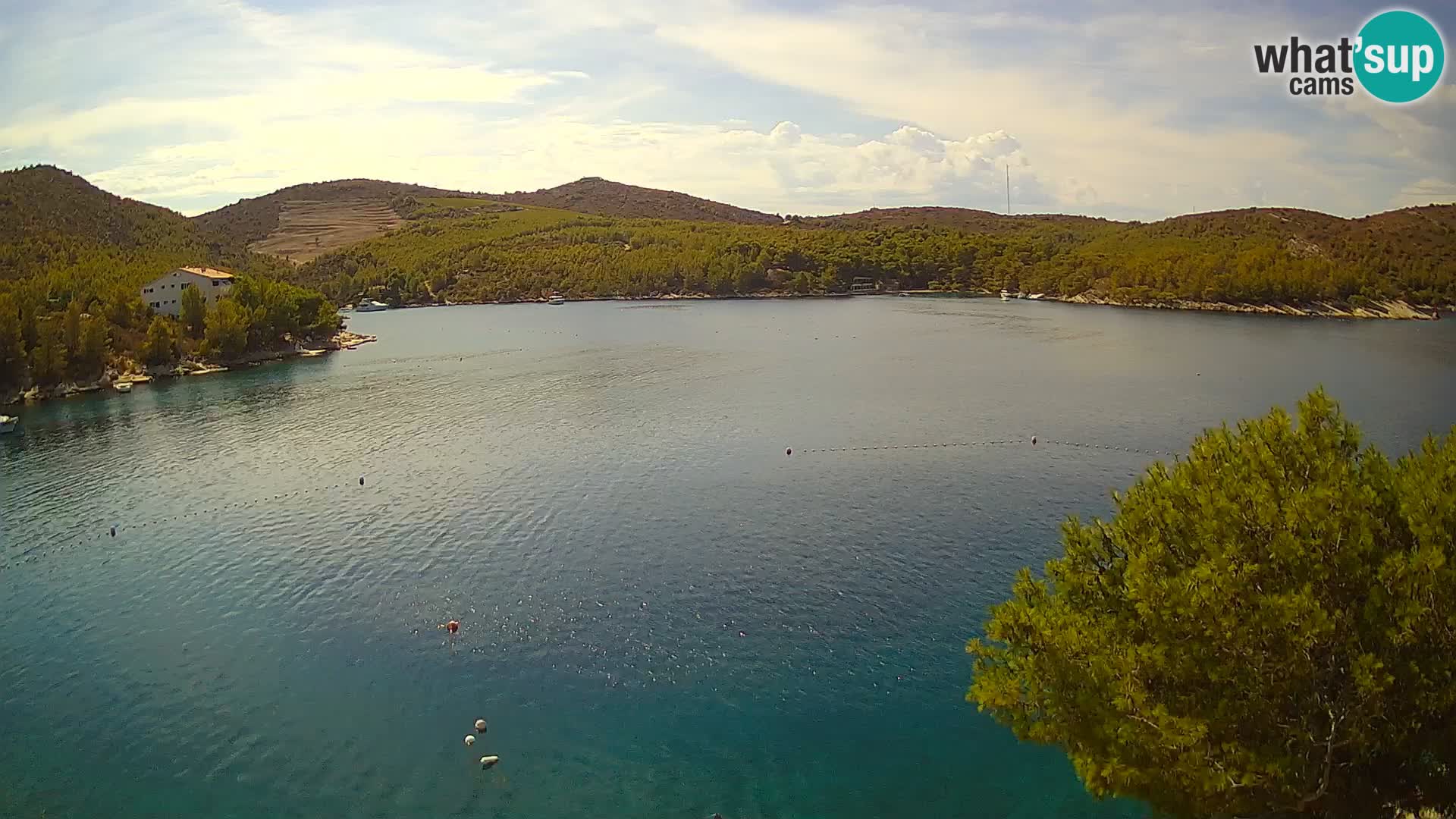 Camera Hvar Vira playa | Isla de Hvar | Dalmacia