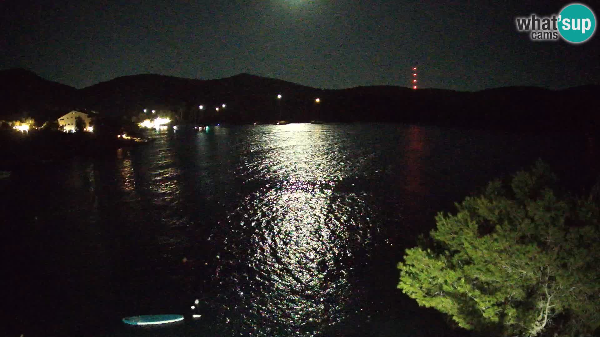 Camera Hvar Vira playa | Isla de Hvar | Dalmacia