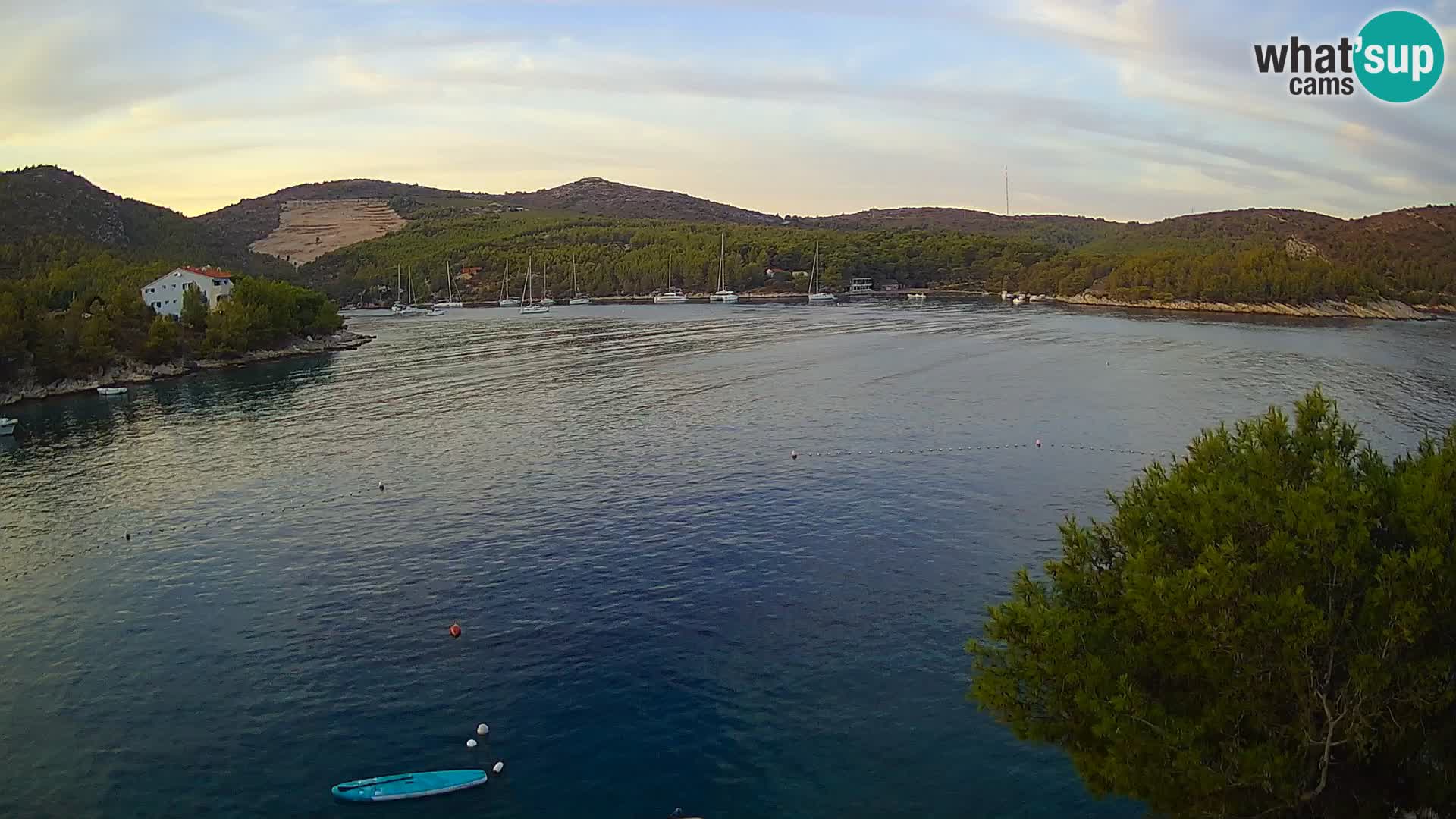 Camera Hvar Vira playa | Isla de Hvar | Dalmacia