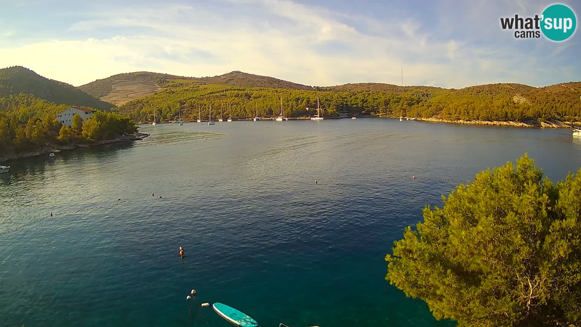 Camera Hvar Vira playa | Isla de Hvar | Dalmacia