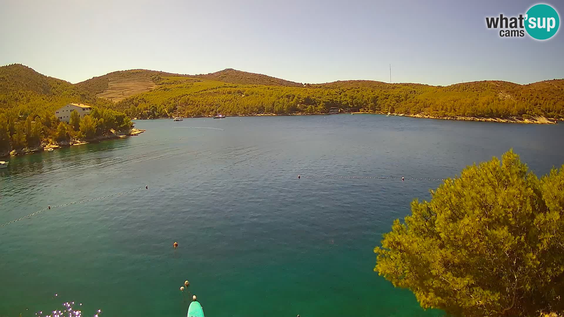 Live cam Hvar Vira plage | Île de Hvar | Dalmatie