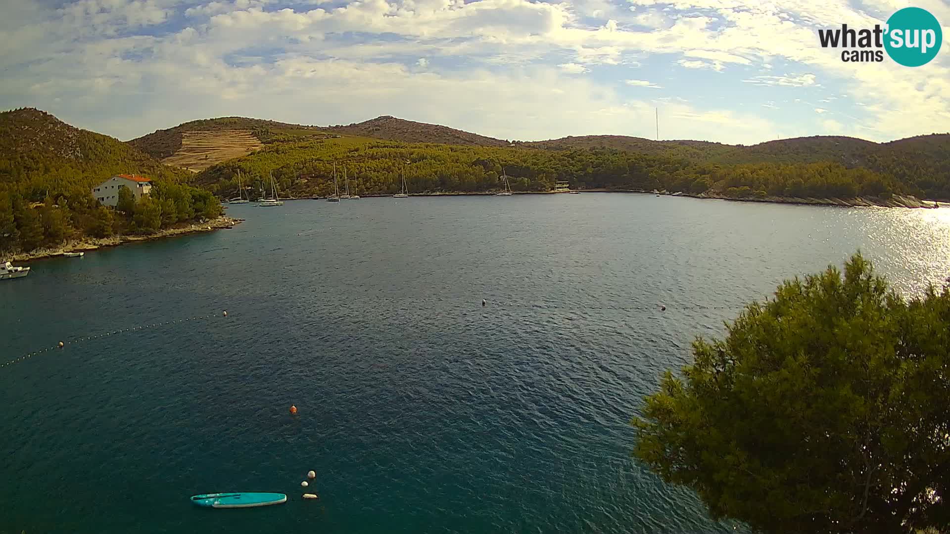 Camera Hvar Vira playa | Isla de Hvar | Dalmacia