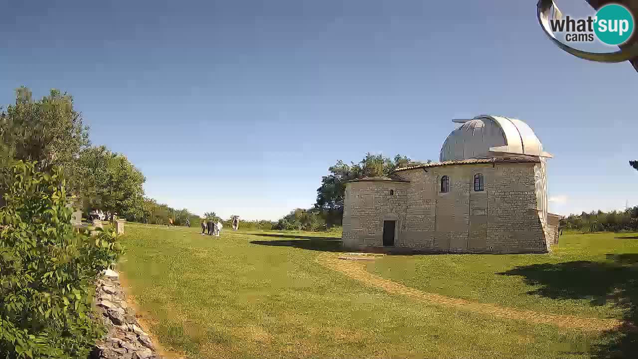 Višnjanska observatorijska spletna kamera: Opazujte vesolje iz Istre, Hrvaška