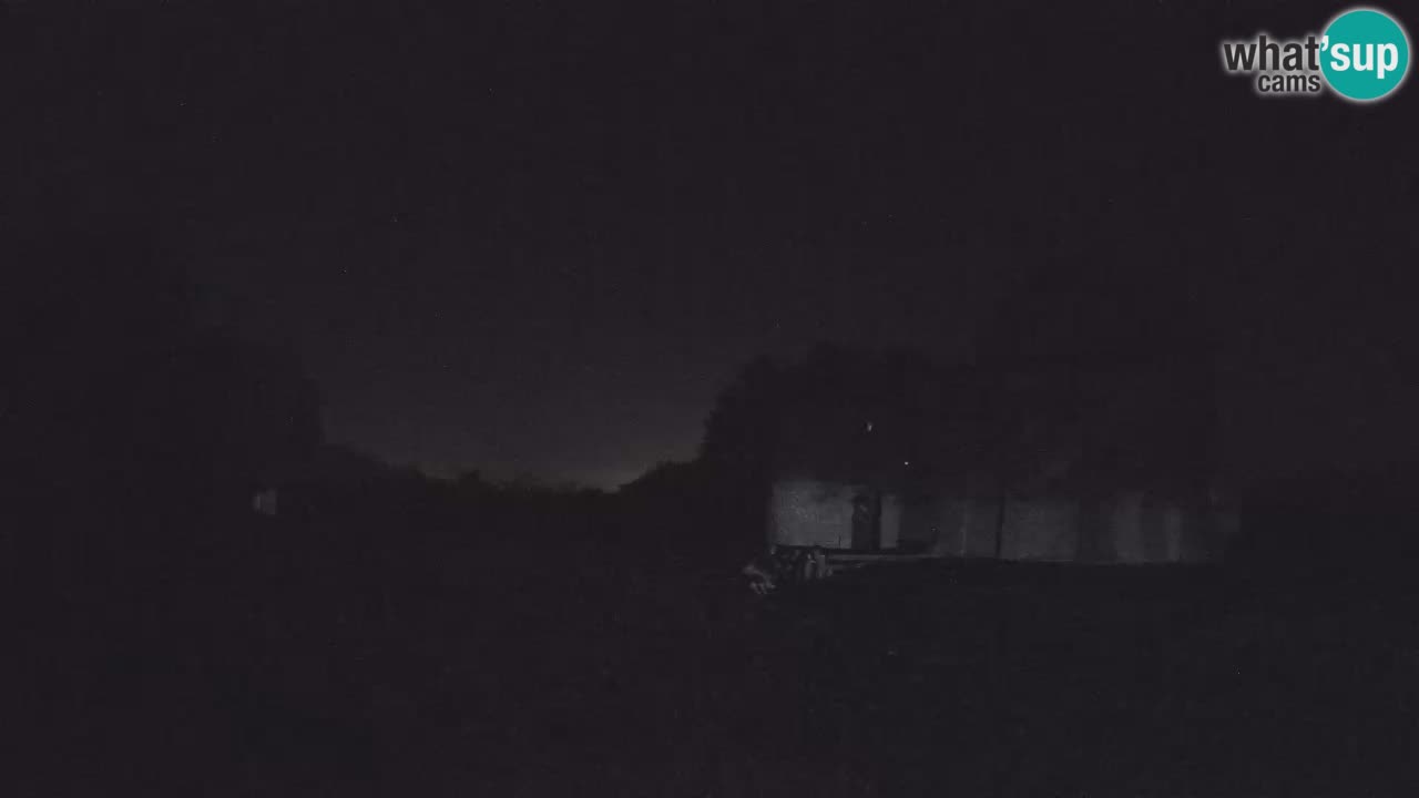 Višnjan Observatory Webcam: Gaze into the Cosmos from Istria, Croatia