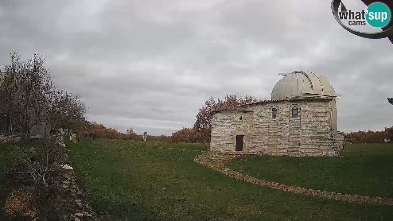 Webcam del Observatorio de Višnjan: Contempla el cosmos desde Istria, Croacia