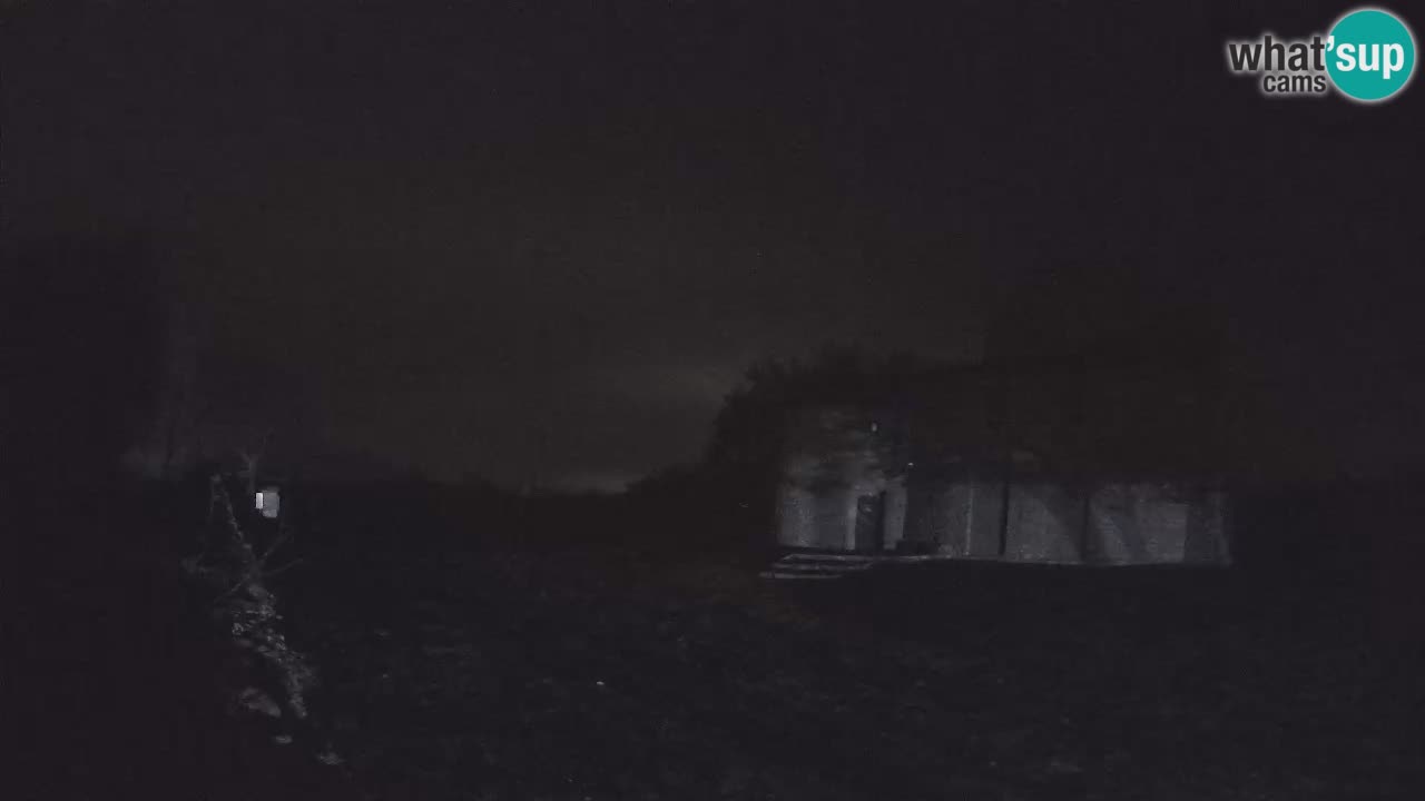 Višnjan Observatory Webcam: Gaze into the Cosmos from Istria, Croatia