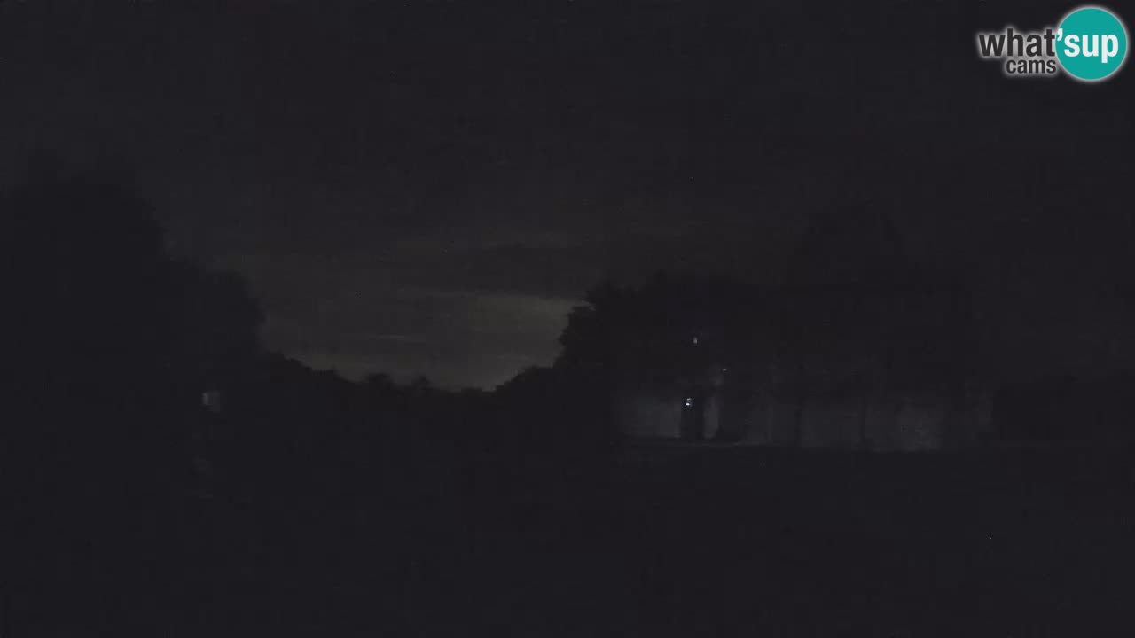Višnjan Observatory Webcam: Gaze into the Cosmos from Istria, Croatia