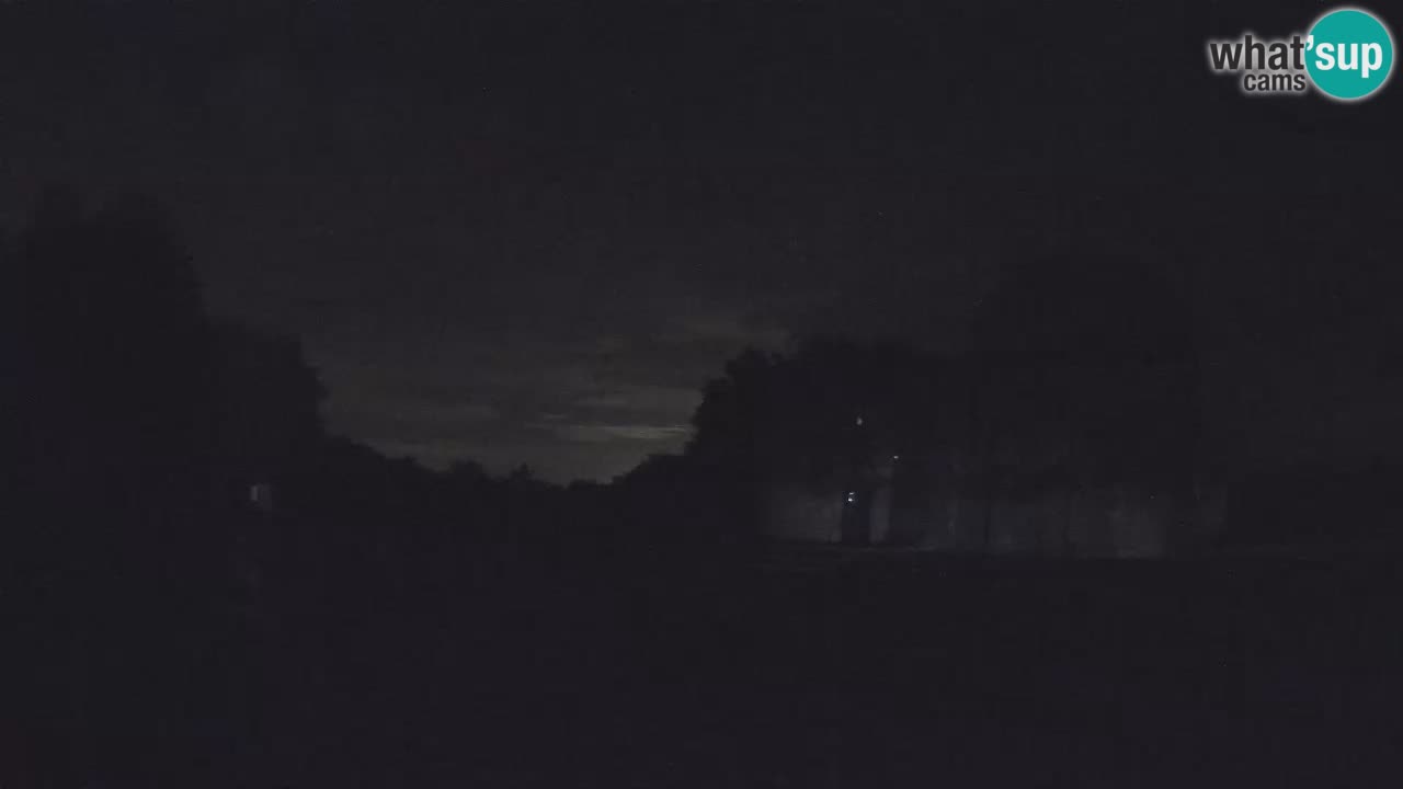Višnjan Observatory Webcam: Gaze into the Cosmos from Istria, Croatia