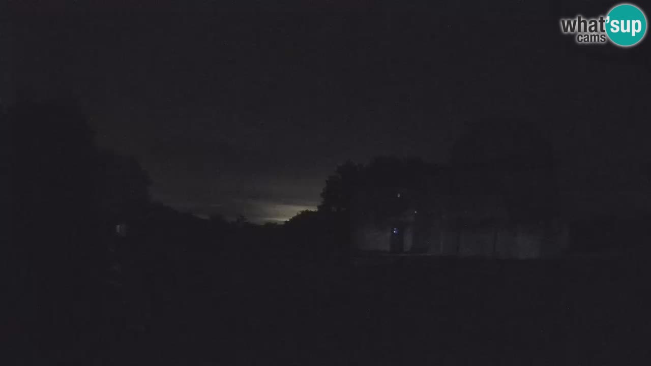 Višnjan Observatory Webcam: Gaze into the Cosmos from Istria, Croatia