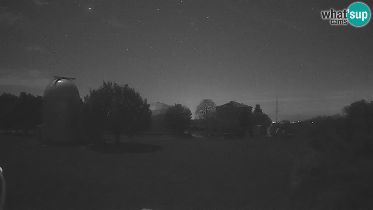 cams Archive Page 5 of 77 WhatsUpCams LIVE streaming