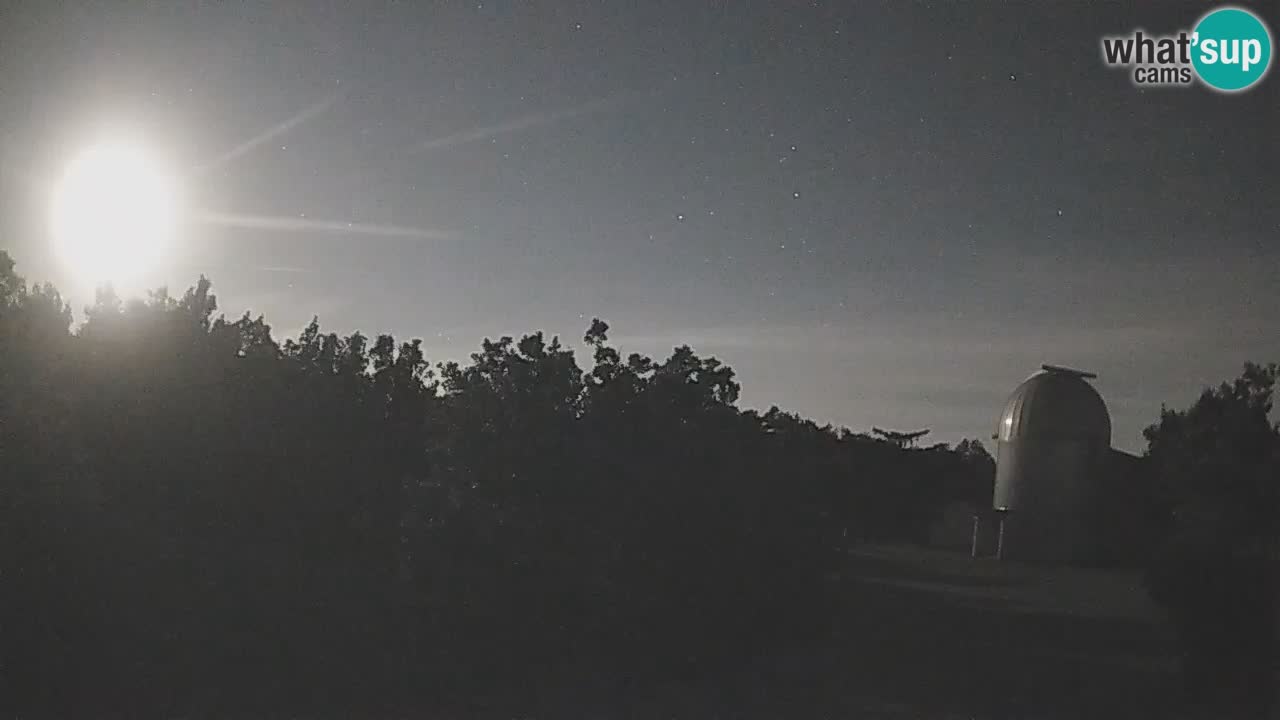 Webcam en direct de l’Observatoire de Višnjan – Explorez le ciel, les astéroïdes, les comètes et les météoroïdes