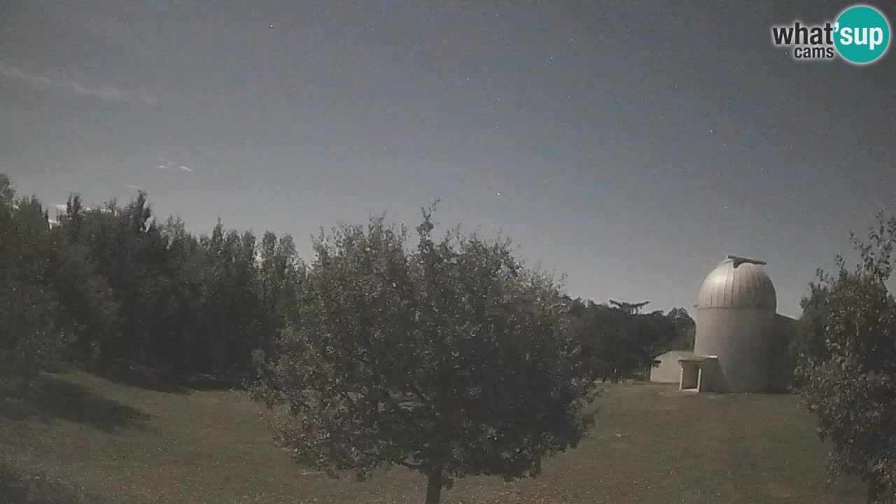 Webcam live dell’Osservatorio di  – Esplora il cielo, gli asteroidi, i comete e i meteoroidi.