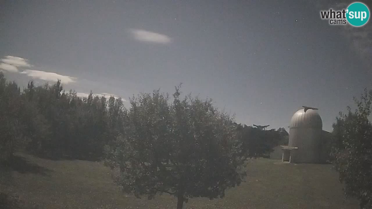 Webcam live dell’Osservatorio di  – Esplora il cielo, gli asteroidi, i comete e i meteoroidi.