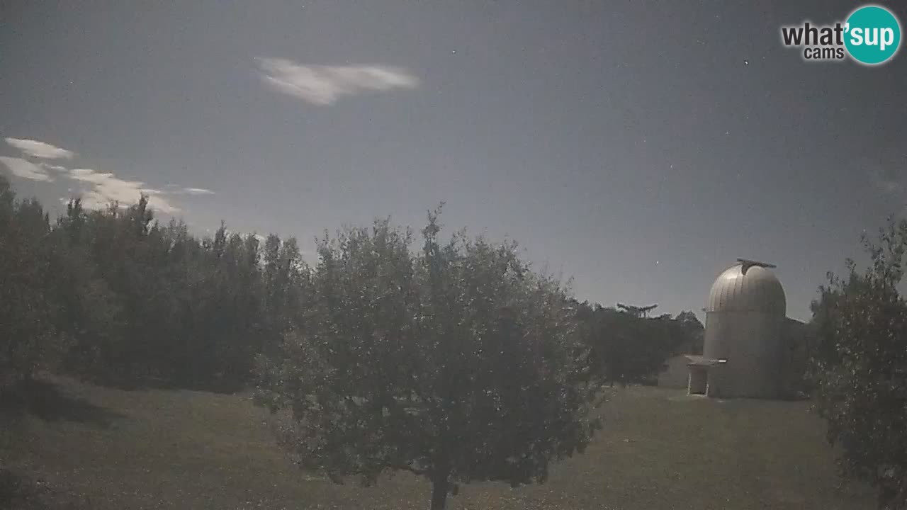 Webcam live dell’Osservatorio di  – Esplora il cielo, gli asteroidi, i comete e i meteoroidi.