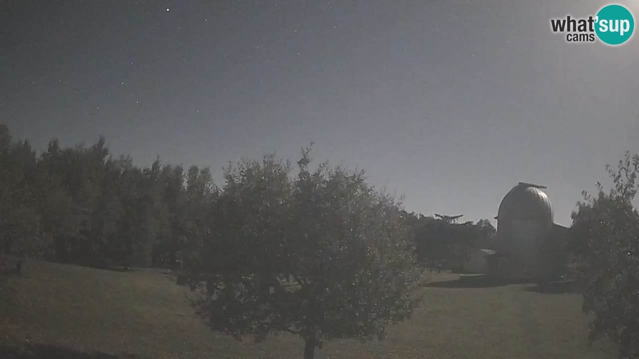 Webcam live dell’Osservatorio di  – Esplora il cielo, gli asteroidi, i comete e i meteoroidi.