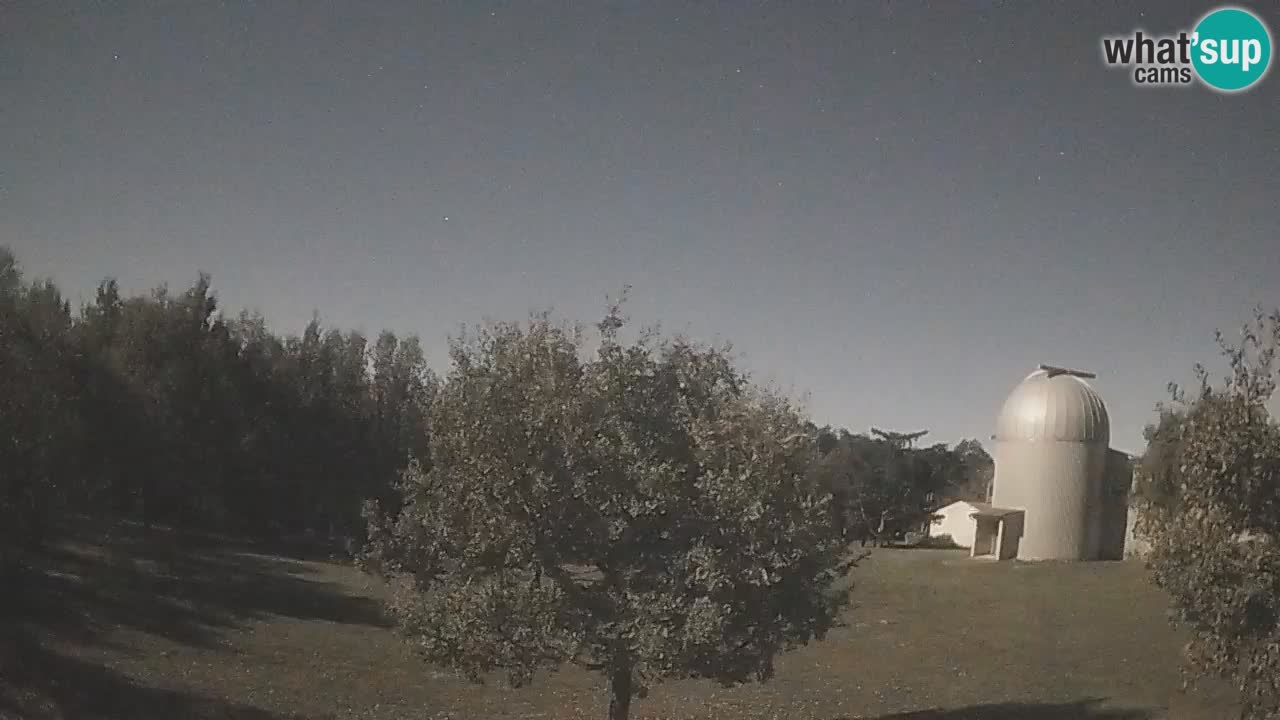 Webcam live dell’Osservatorio di  – Esplora il cielo, gli asteroidi, i comete e i meteoroidi.