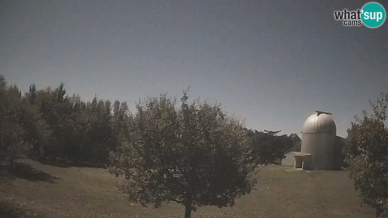 Webcam live dell’Osservatorio di  – Esplora il cielo, gli asteroidi, i comete e i meteoroidi.