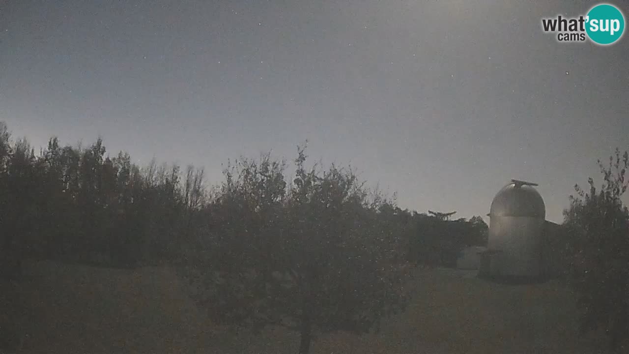 Webcam live dell’Osservatorio di  – Esplora il cielo, gli asteroidi, i comete e i meteoroidi.